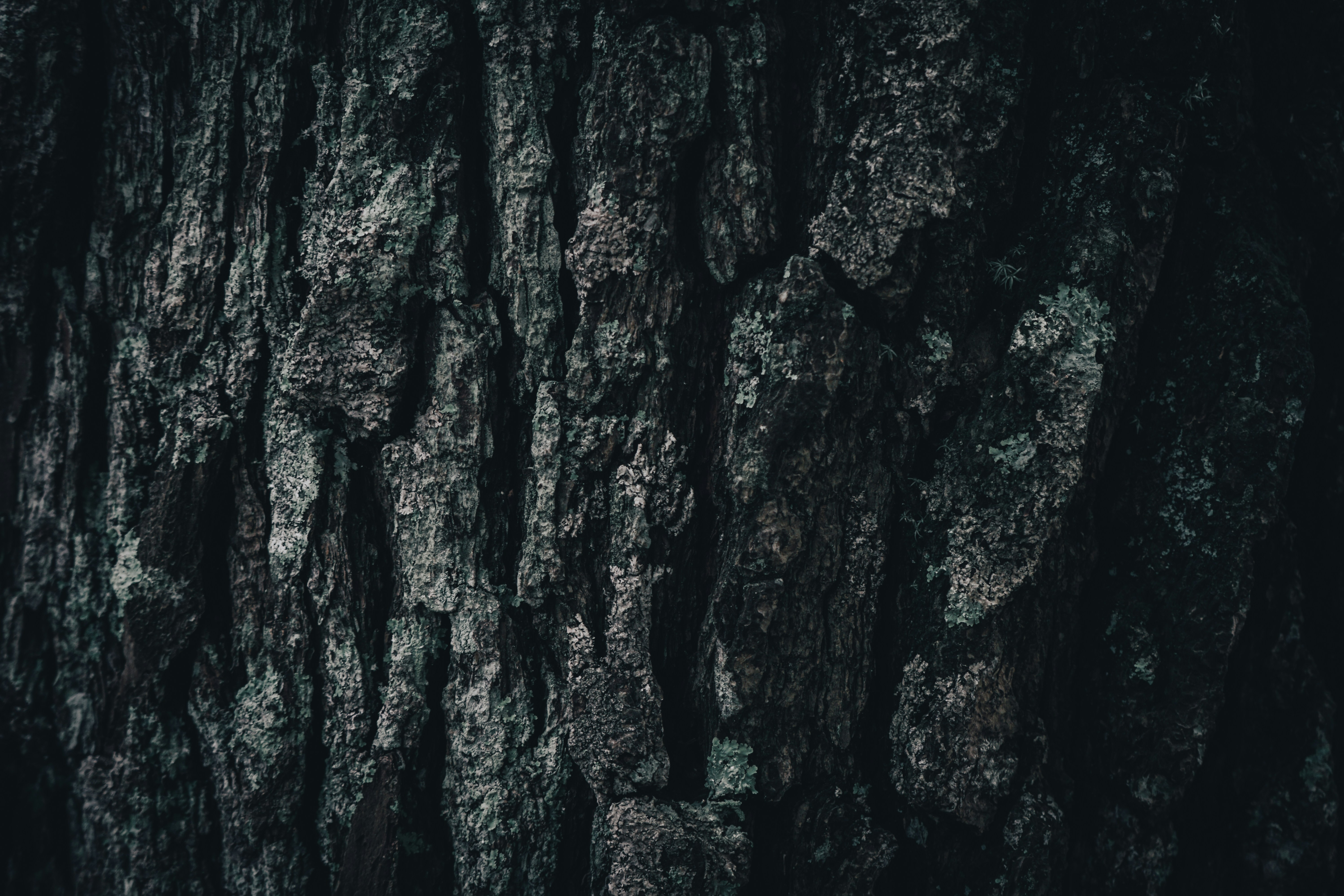 Photo by aseprendi12