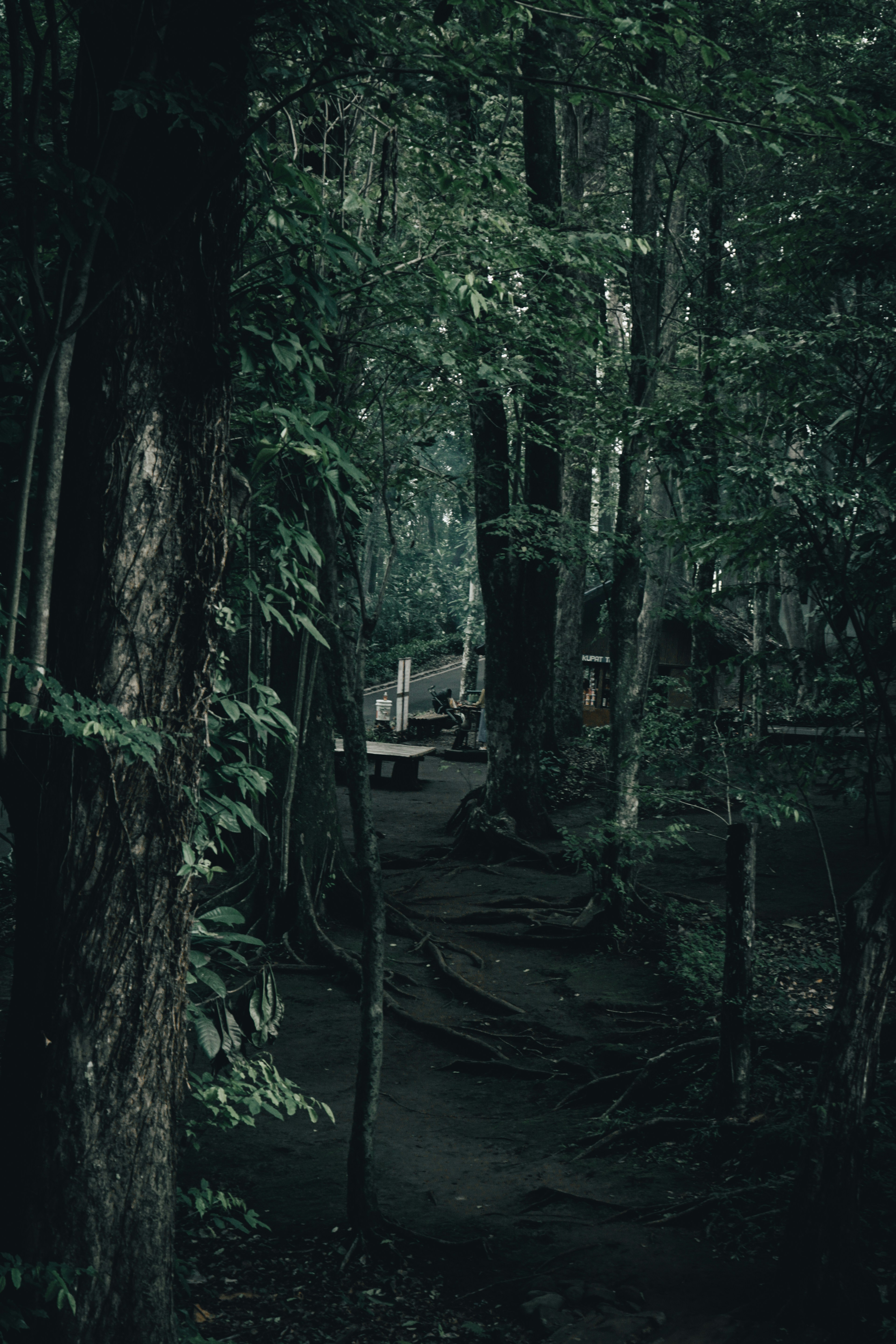 Photo by aseprendi12