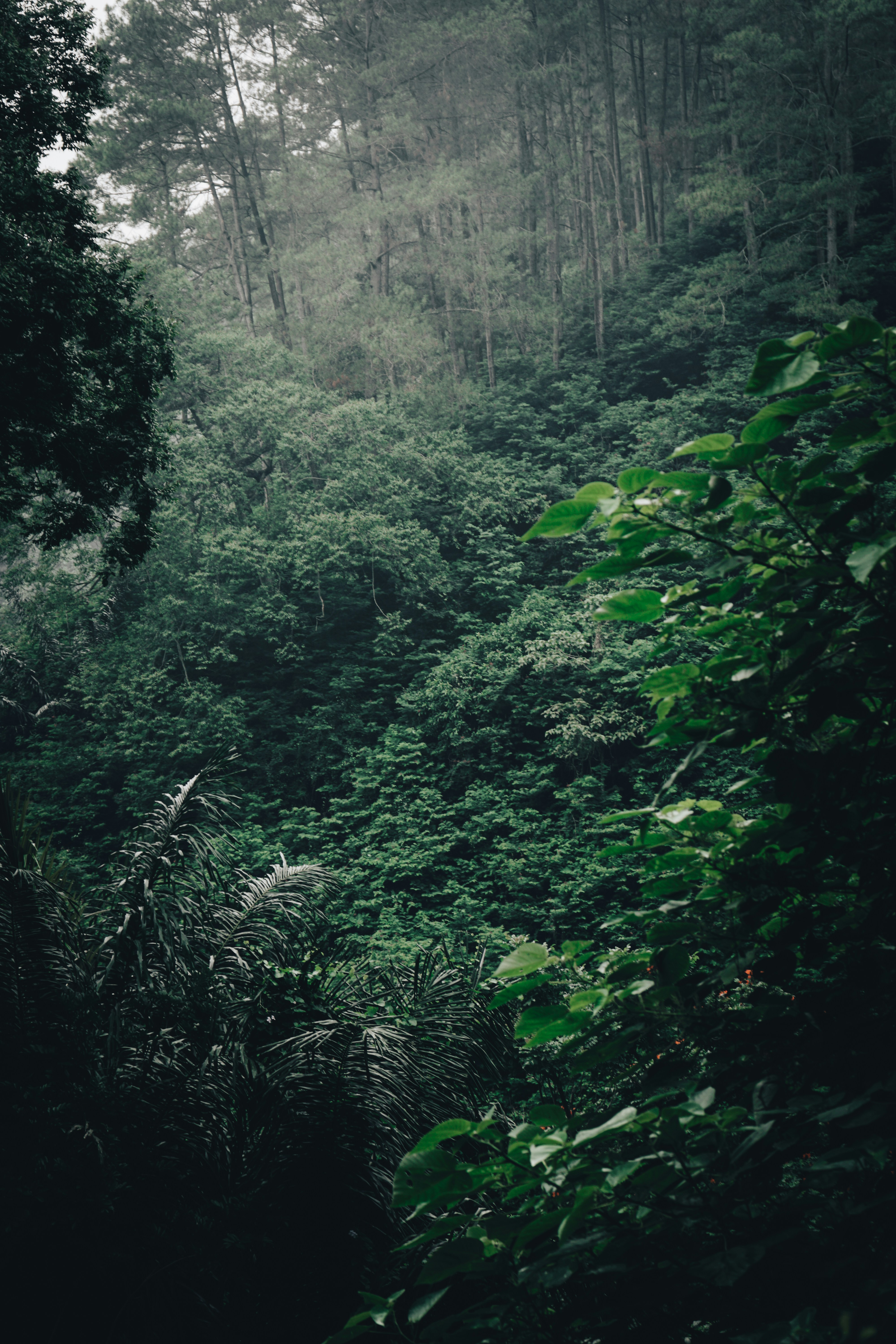 Photo by aseprendi12