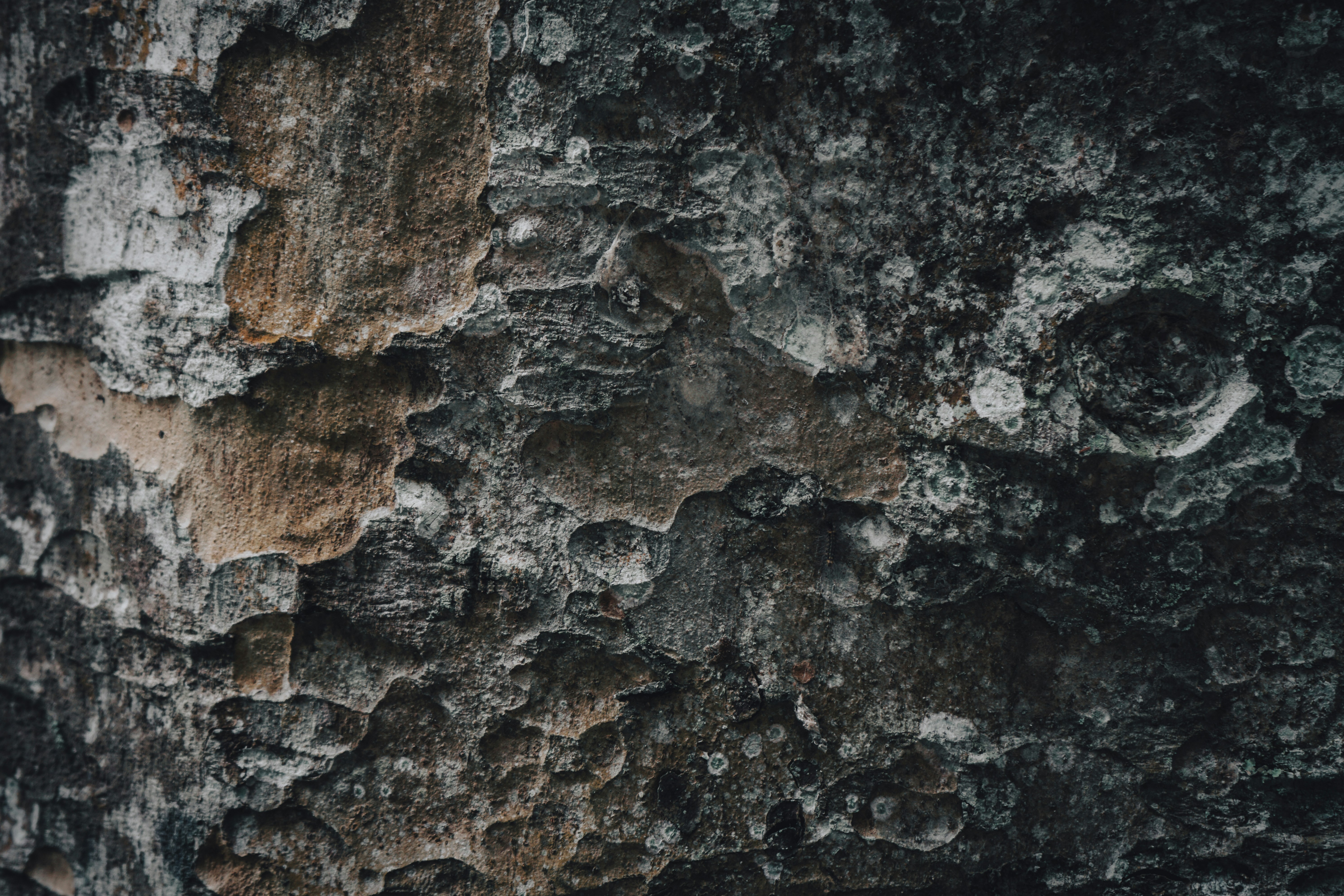 Photo by aseprendi12