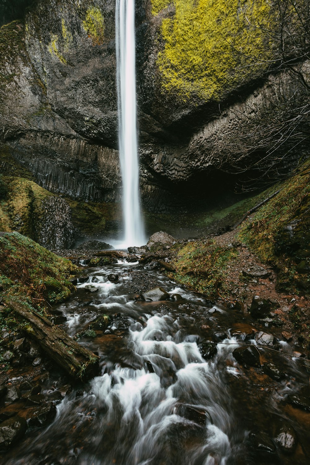 a waterfall in the middle of a forest