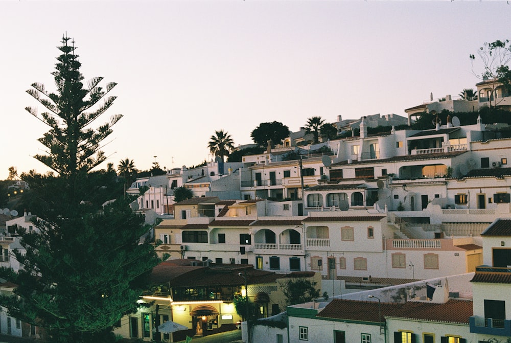 a tree in front of a building with many balconies and balconies