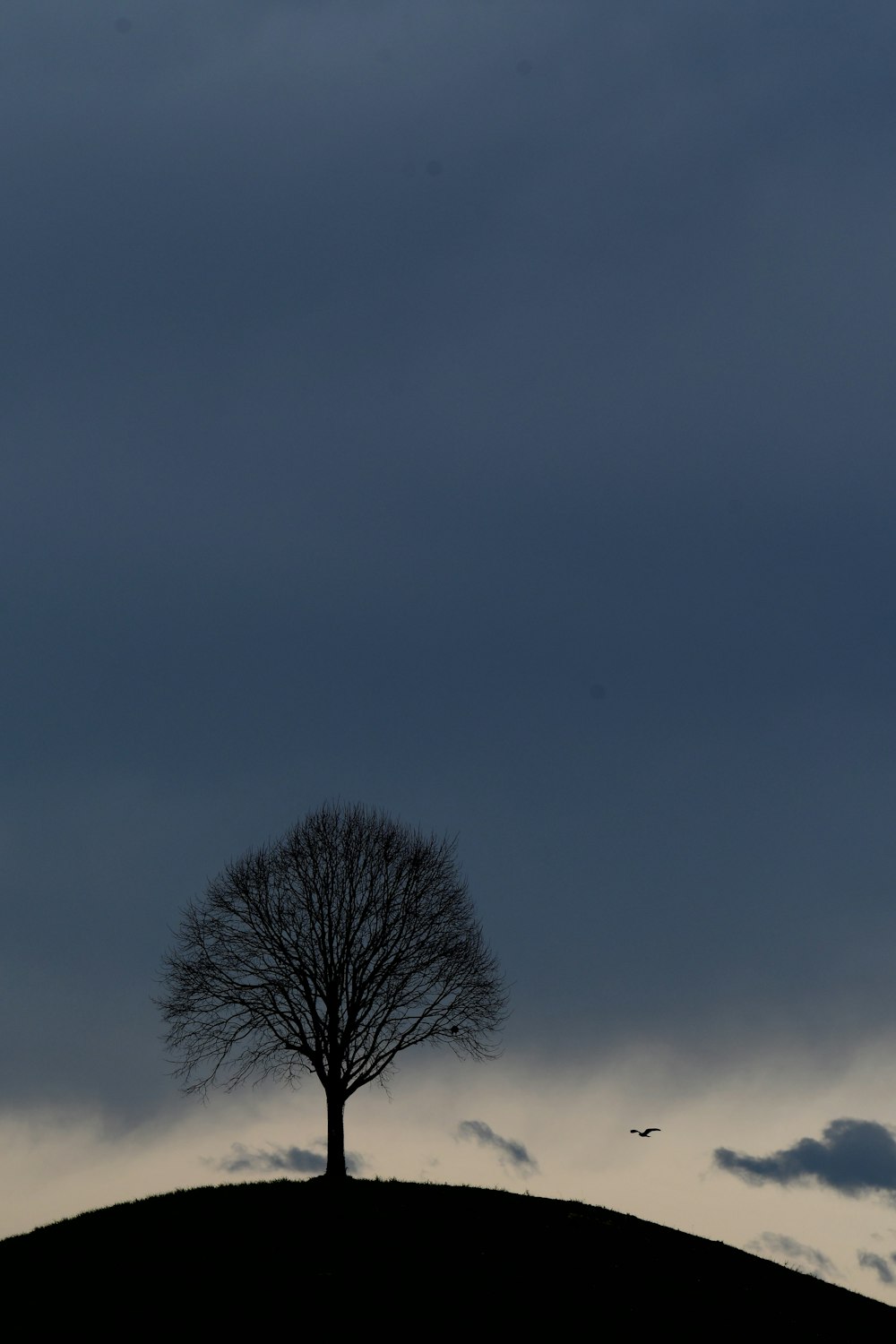 a lone tree sitting on top of a hill under a cloudy sky