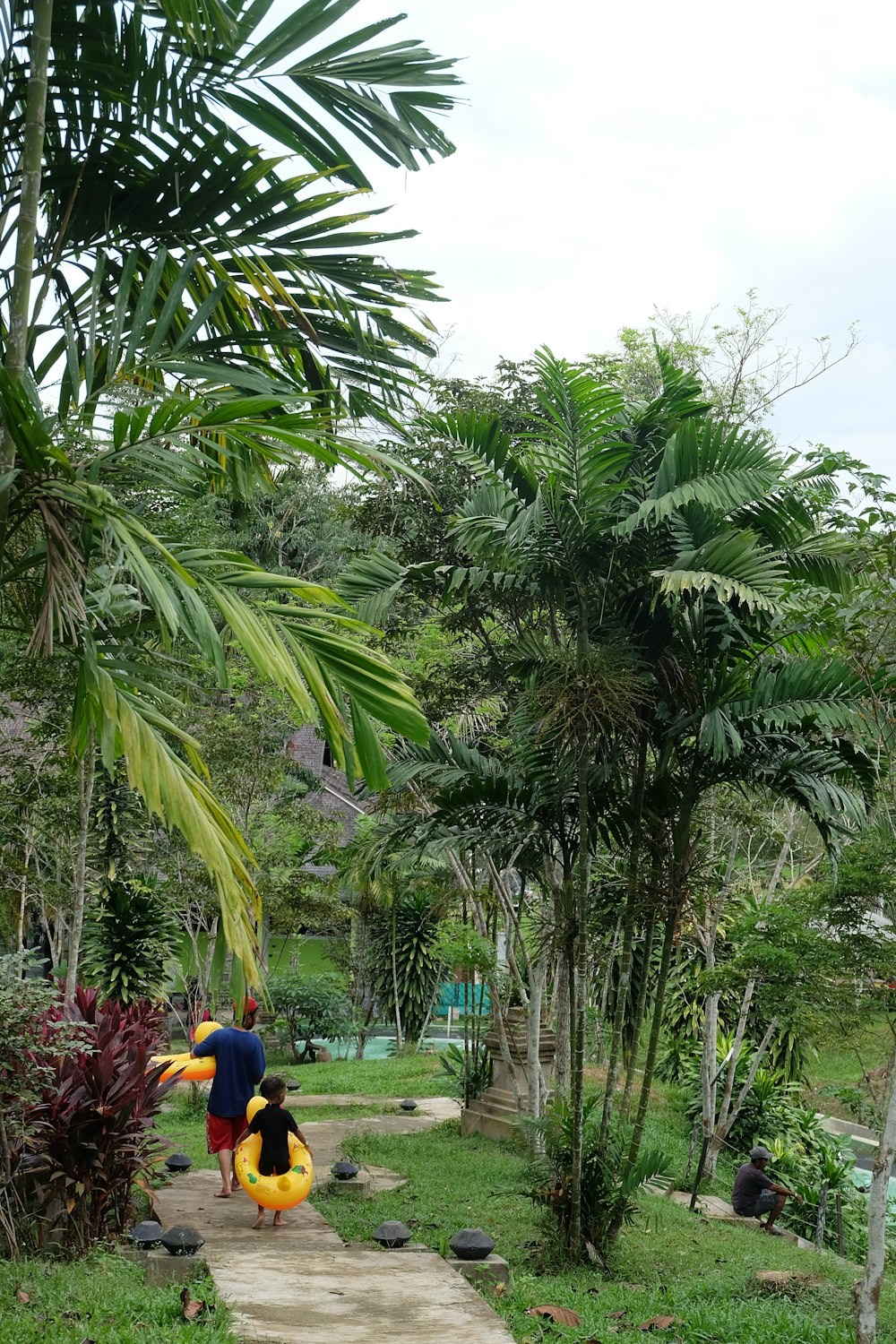a person walking down a path in a tropical park