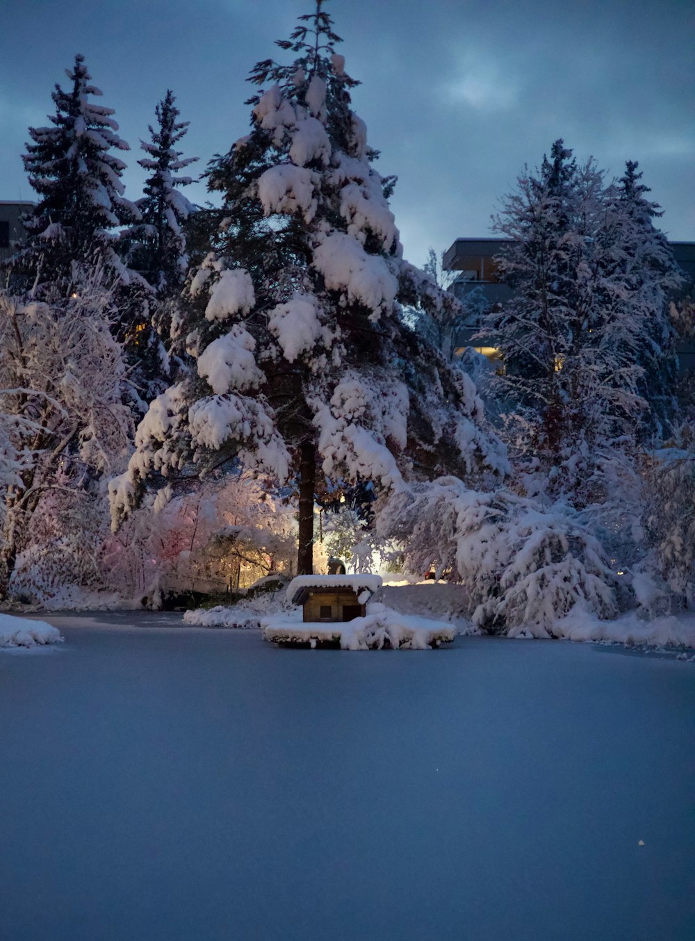 a snow covered tree in front of a building