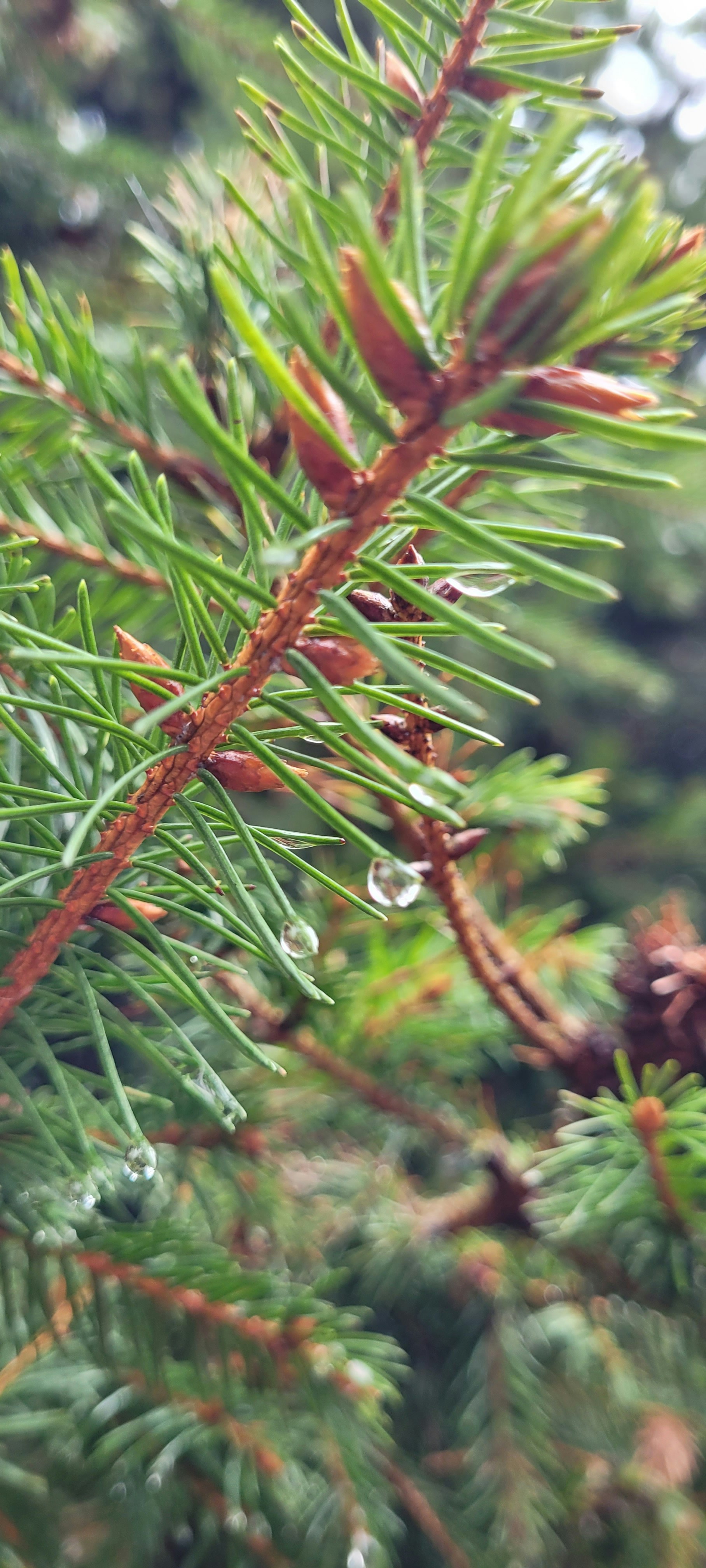 Photo by aniawasowicz