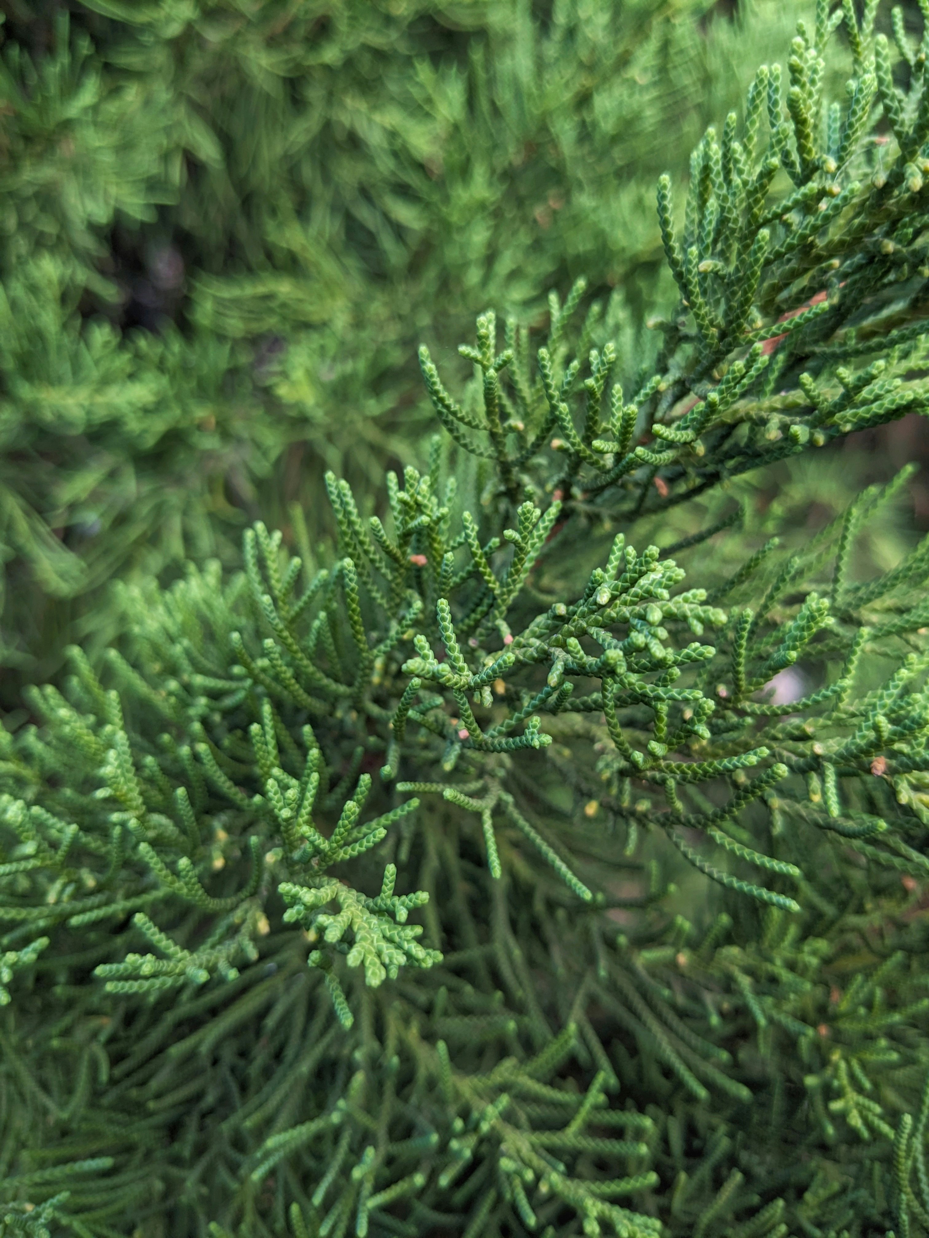 Photo by nguyenhuudailoc