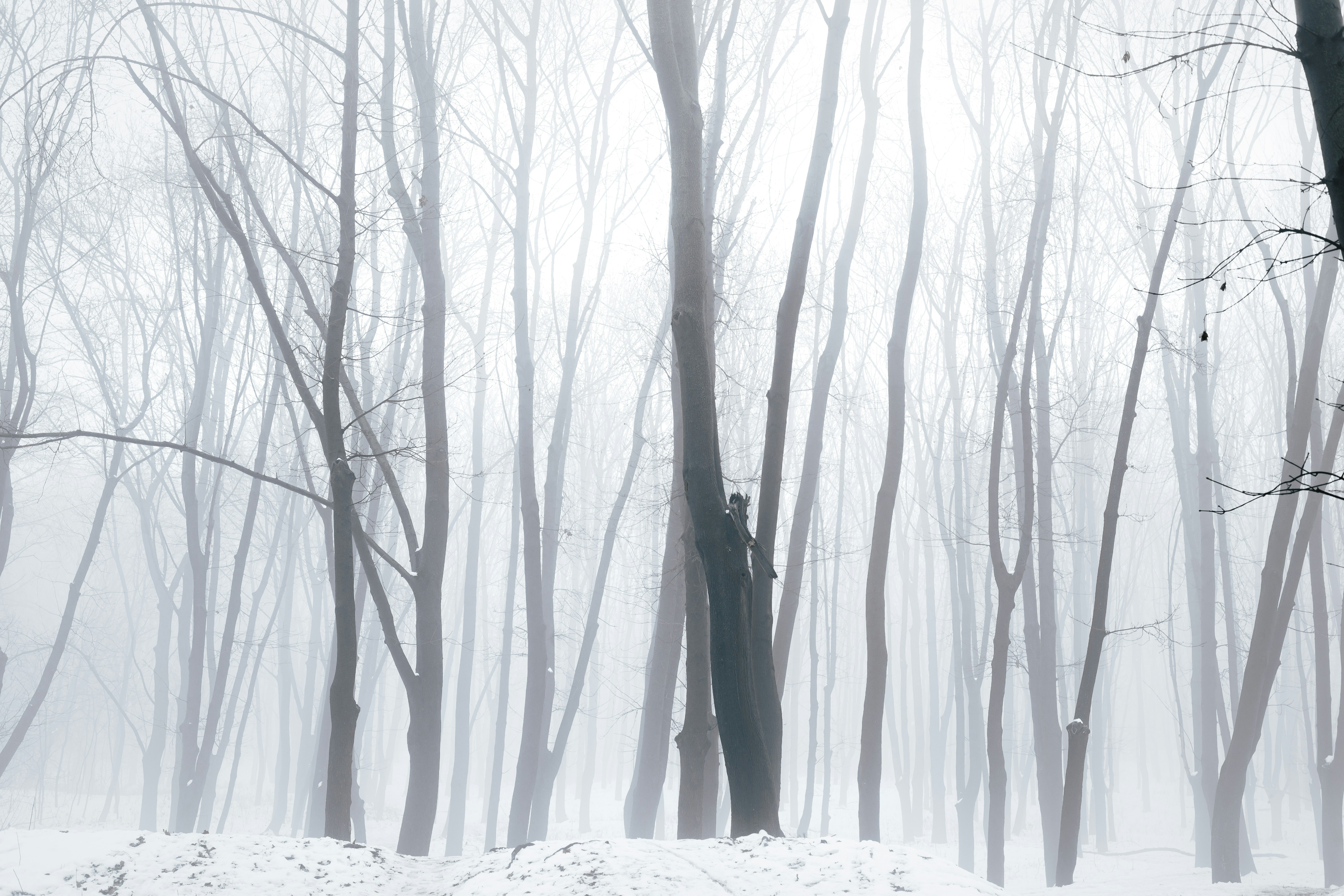 Photo by danielsunny