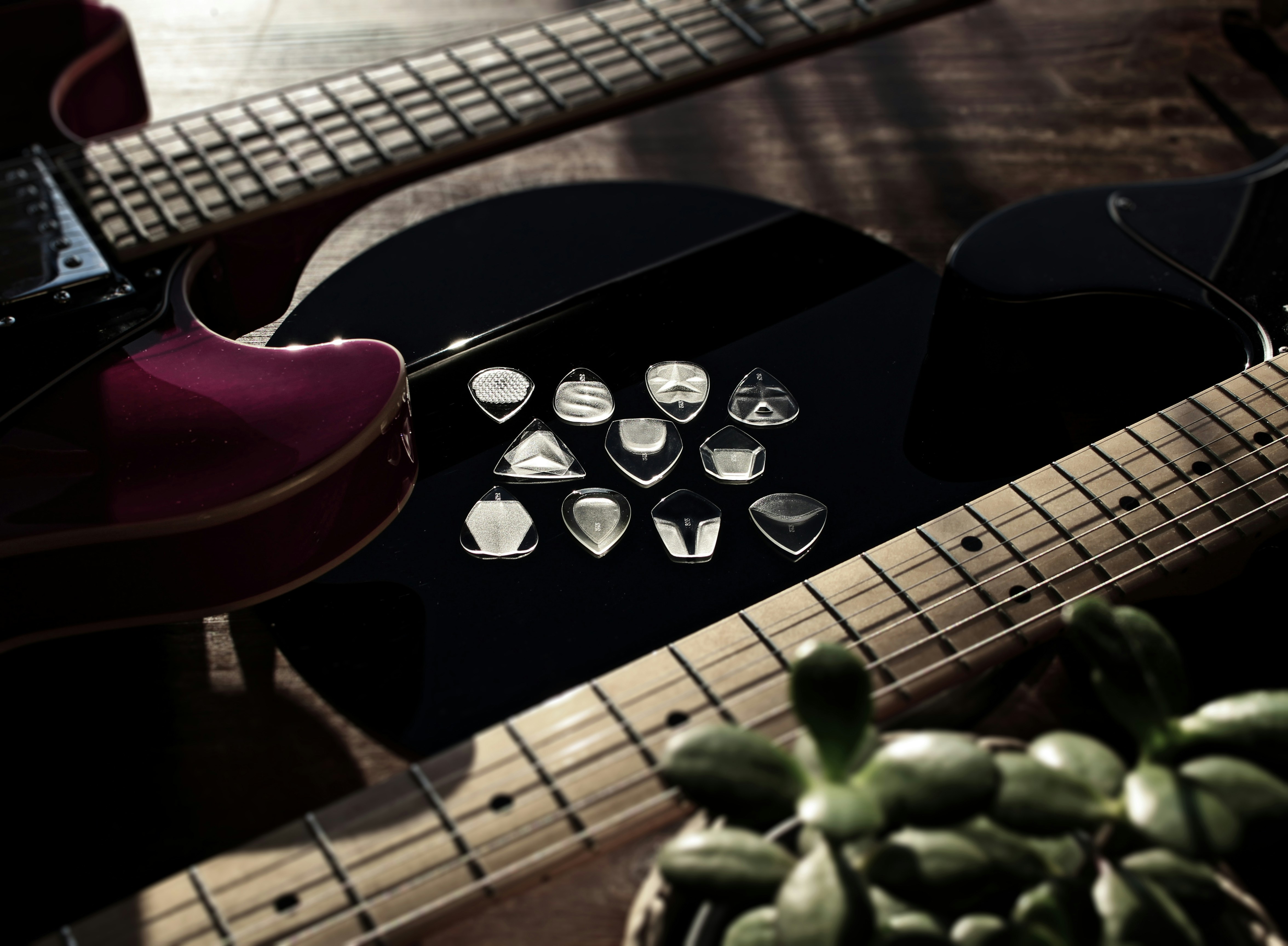 close-up gitar dan tanaman