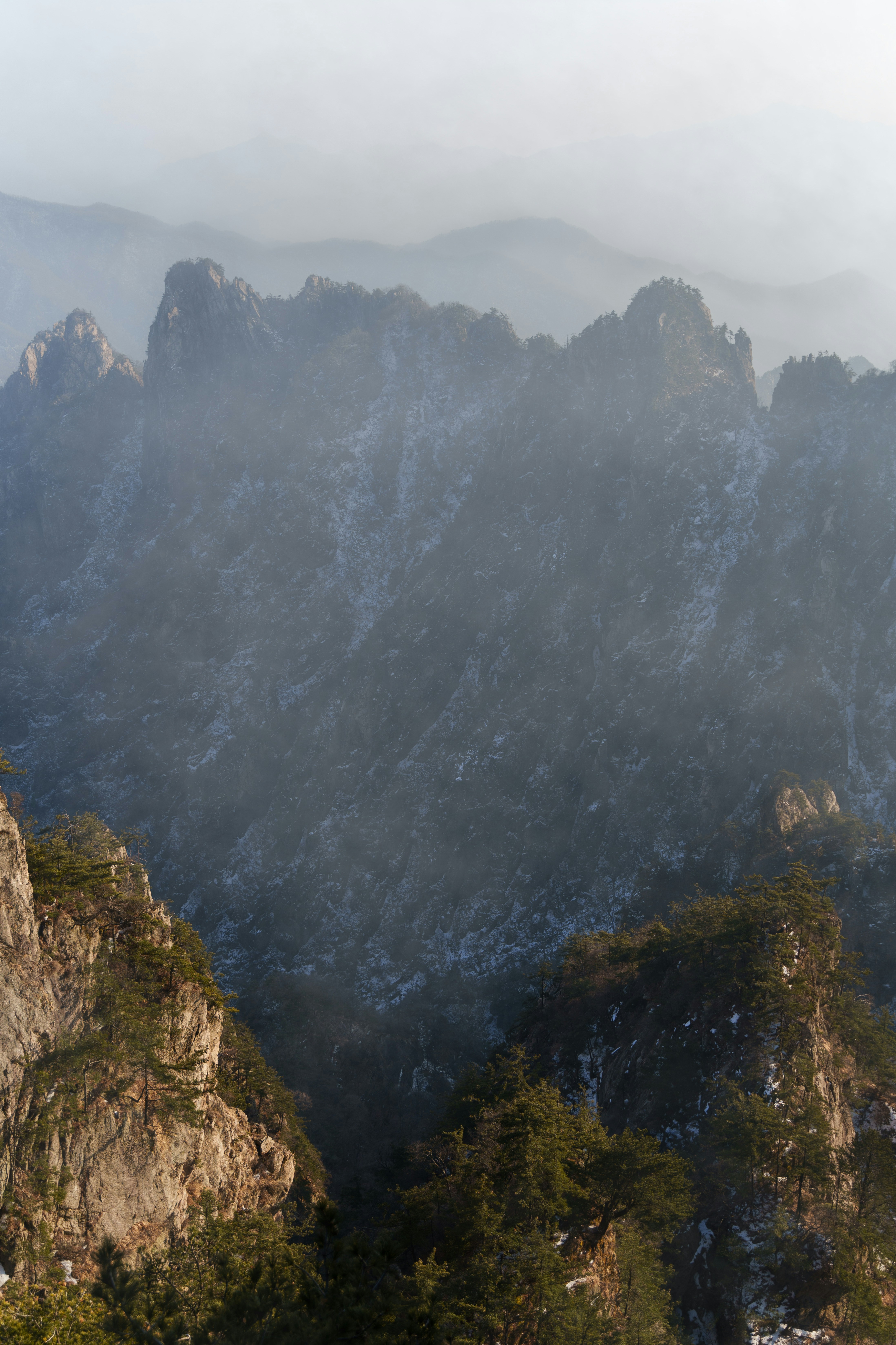 Photo by wangsheeran