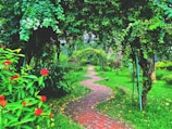 a brick path through a lush green garden