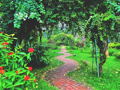 a brick path through a lush green garden