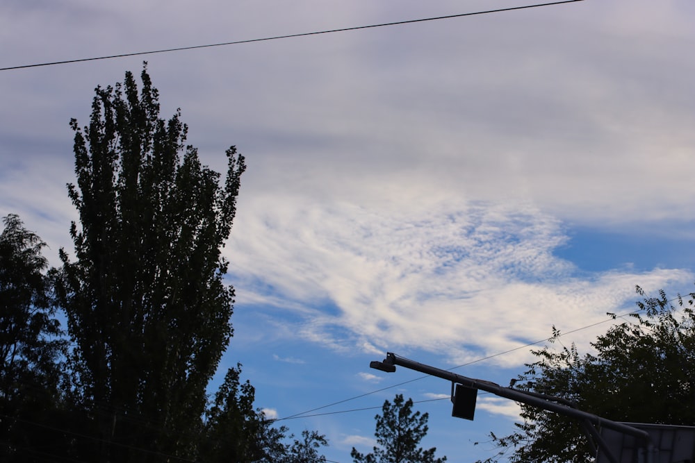 a traffic light sitting next to a tree