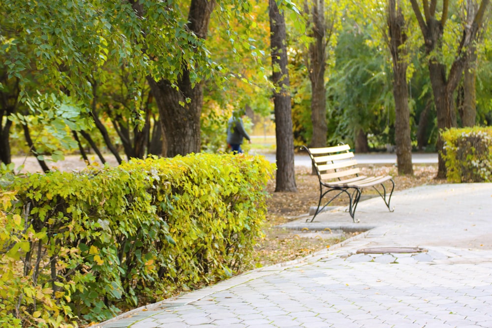 a park bench sitting next to a lush green forest