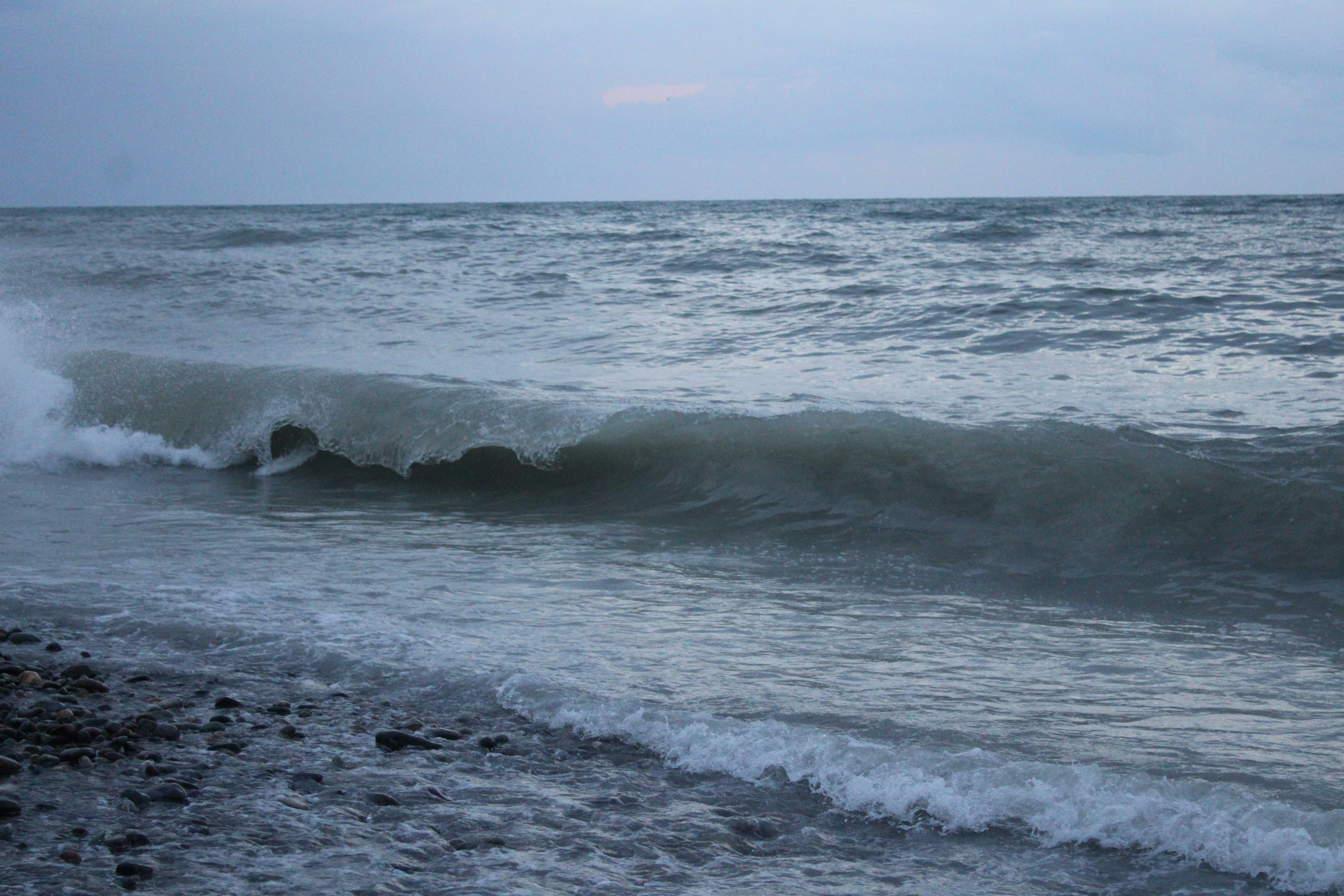 Photo by fatemehmousaviany