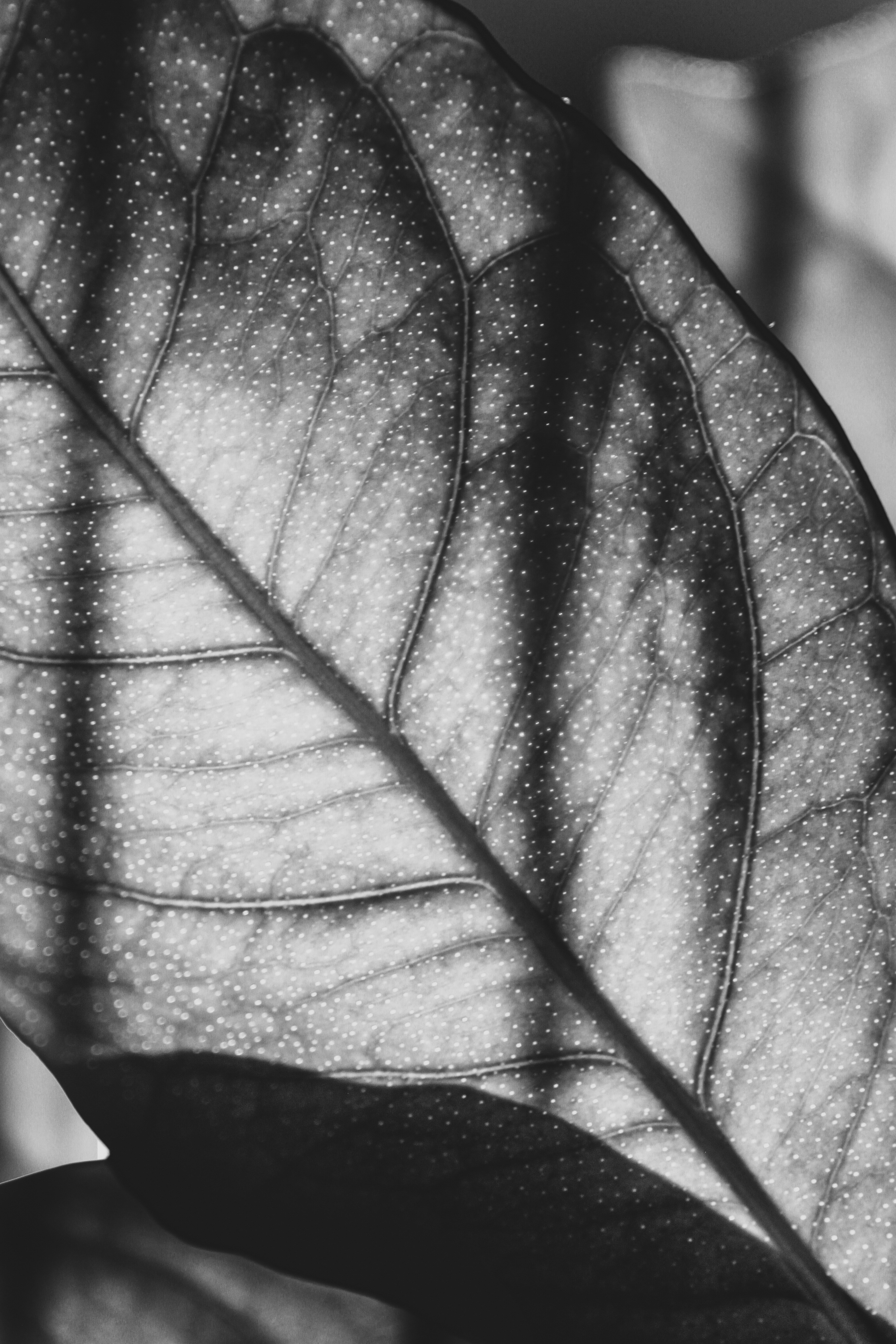 Photo by aloha_photopark