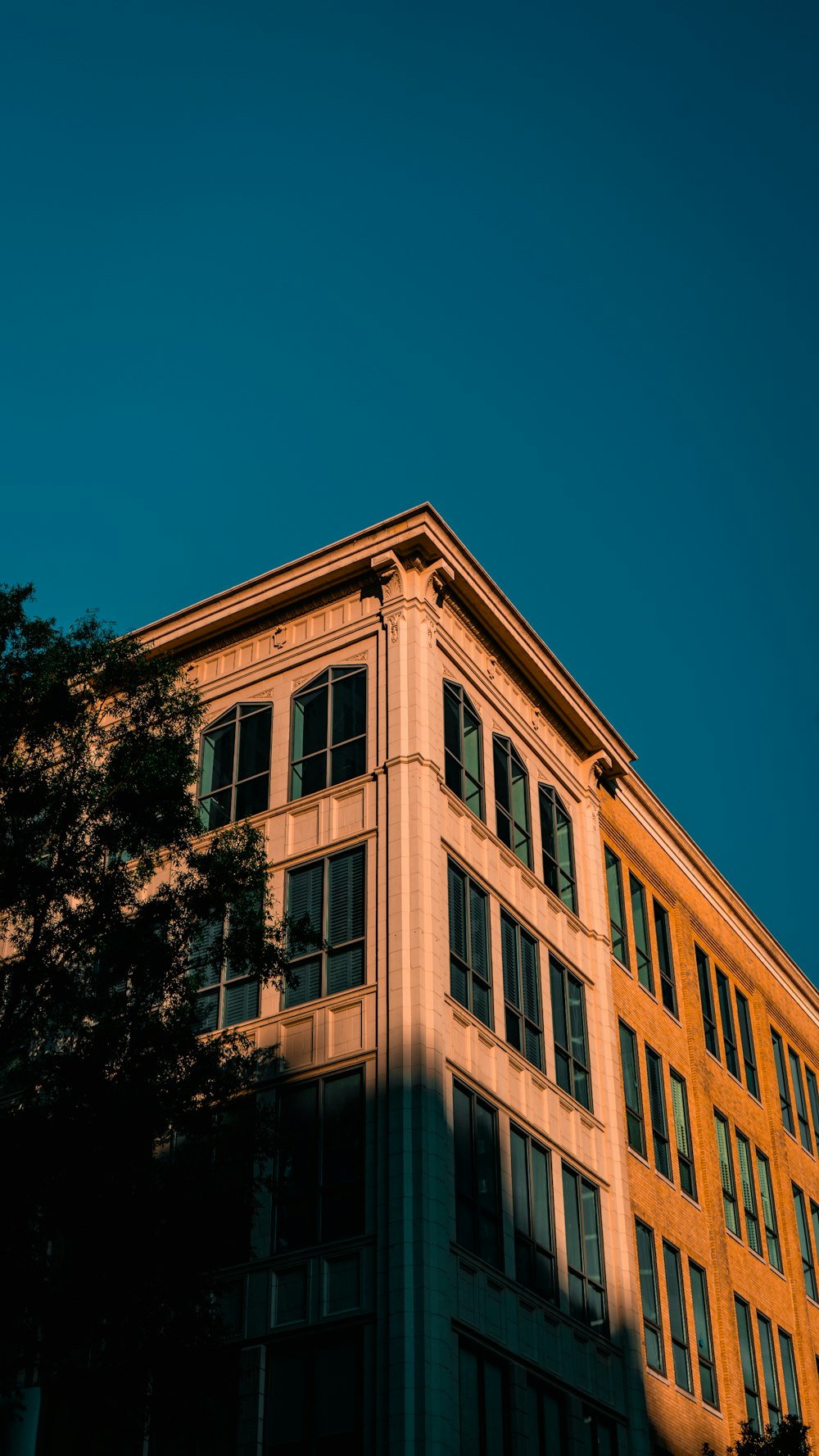 a tall building with lots of windows next to a tree