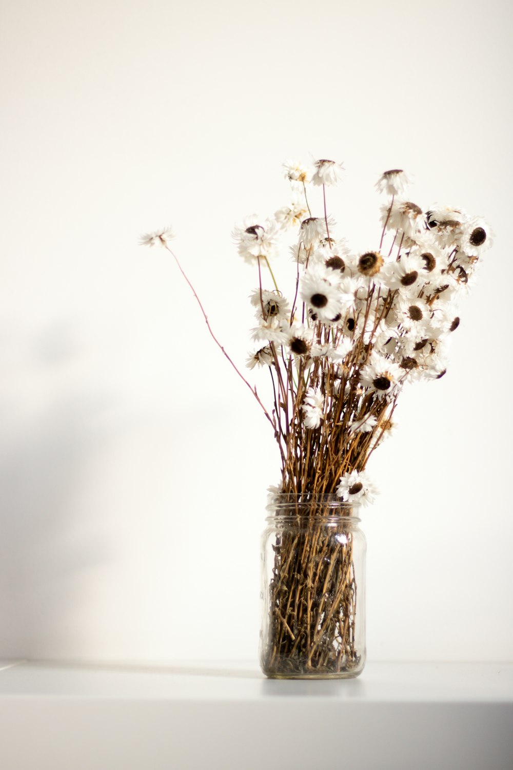 a vase filled with lots of white flowers