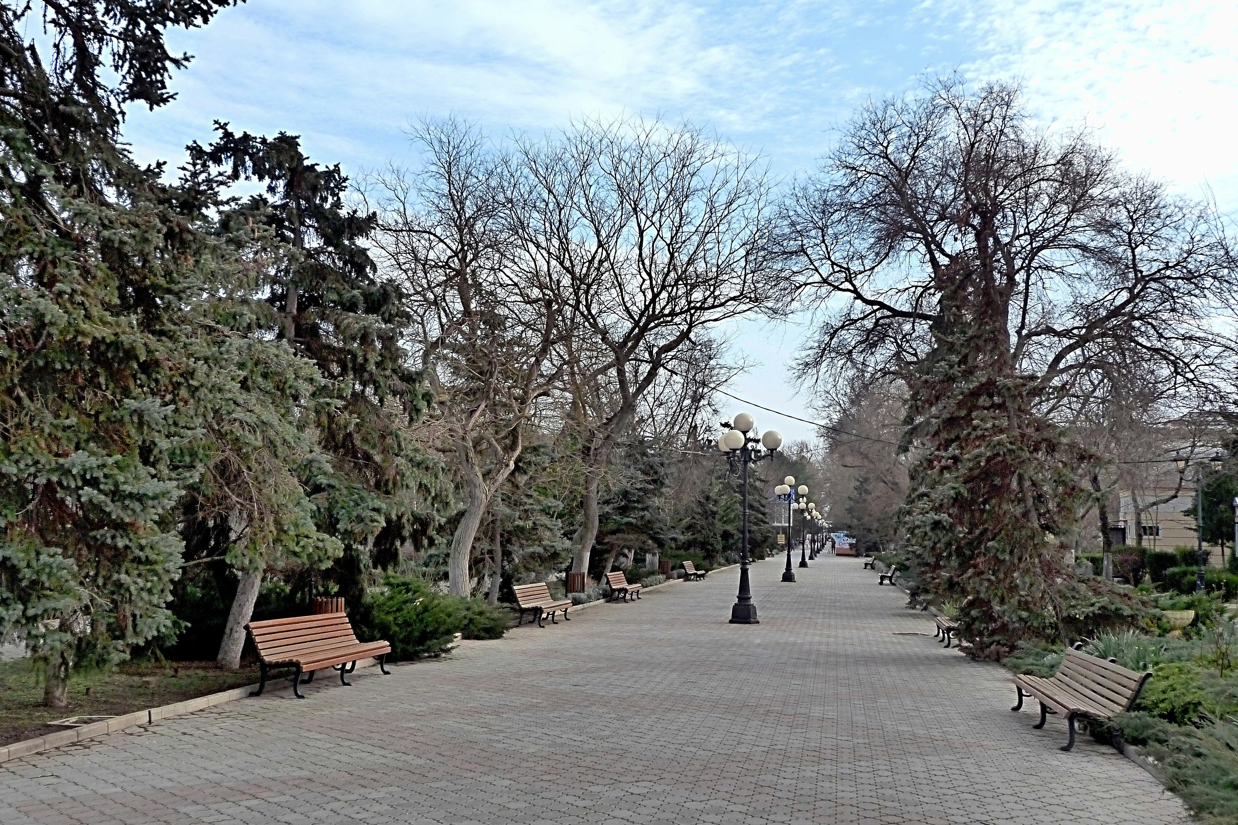 a brick sidewalk with benches and trees lining it