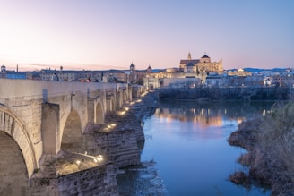 a bridge over a river with a castle in the background