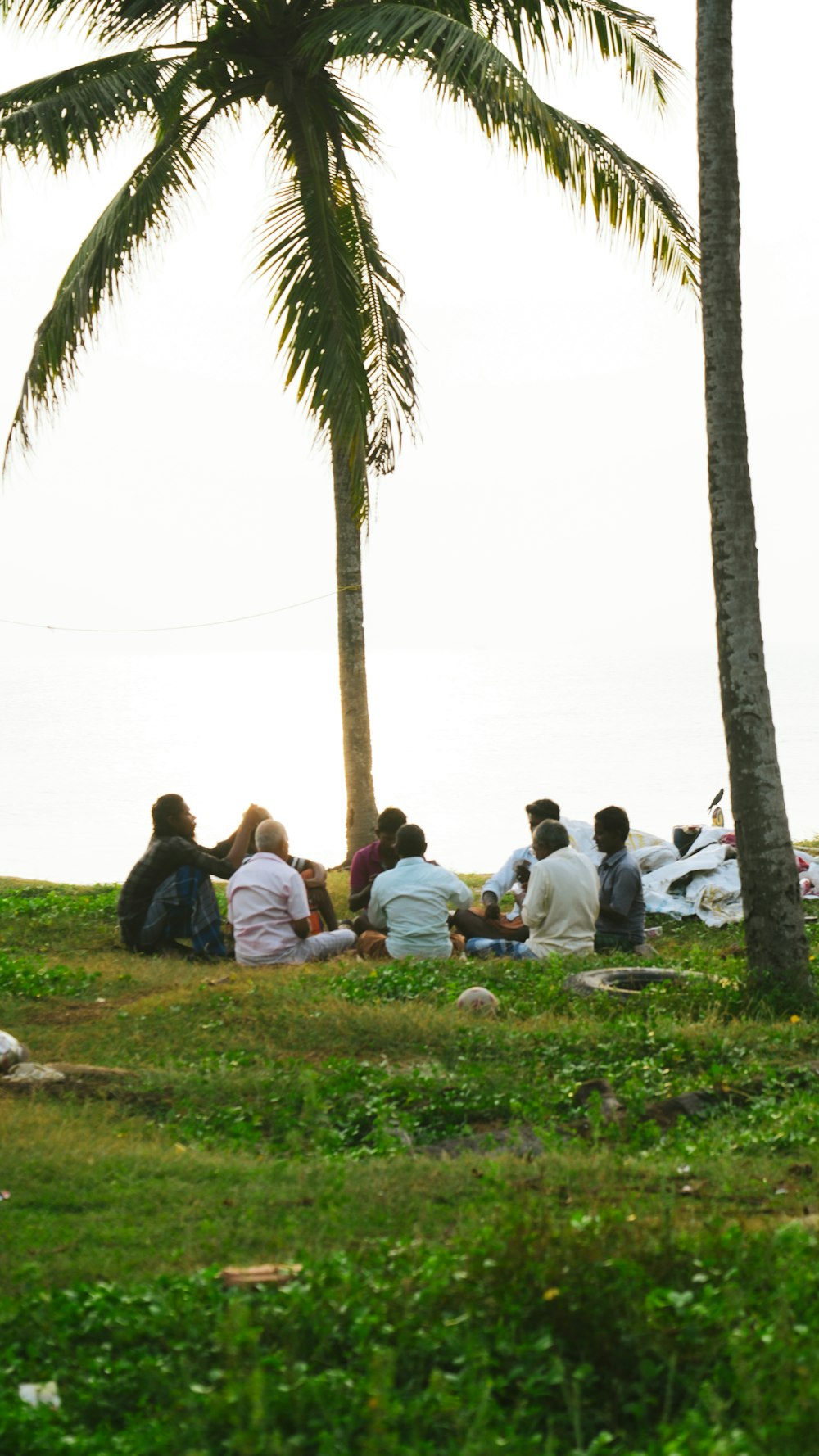 a group of people sitting under a palm tree