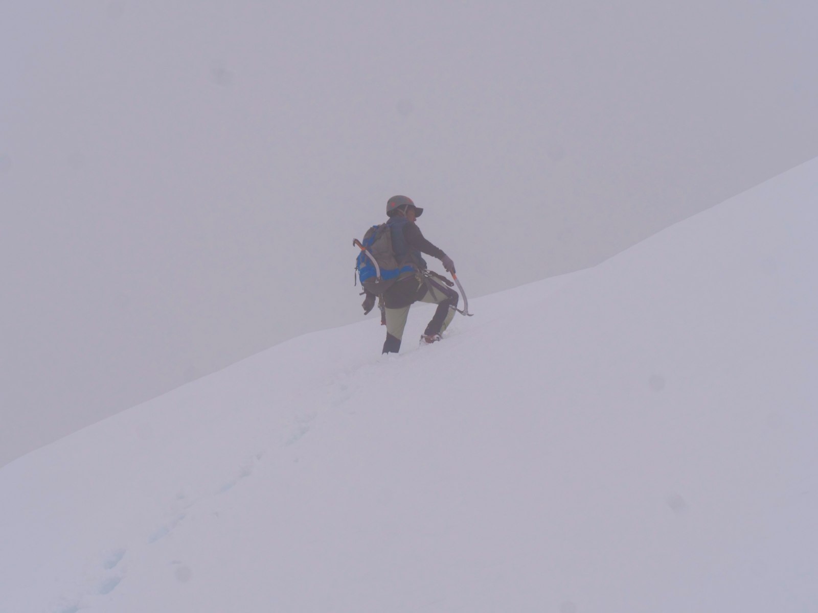 Snowshoeing in Banff National Park