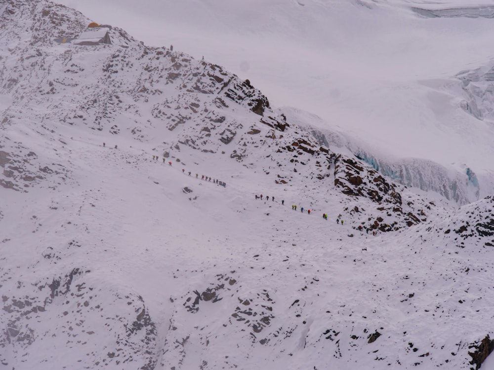 Un grupo de personas caminando por la ladera de una montaña cubierta de nieve