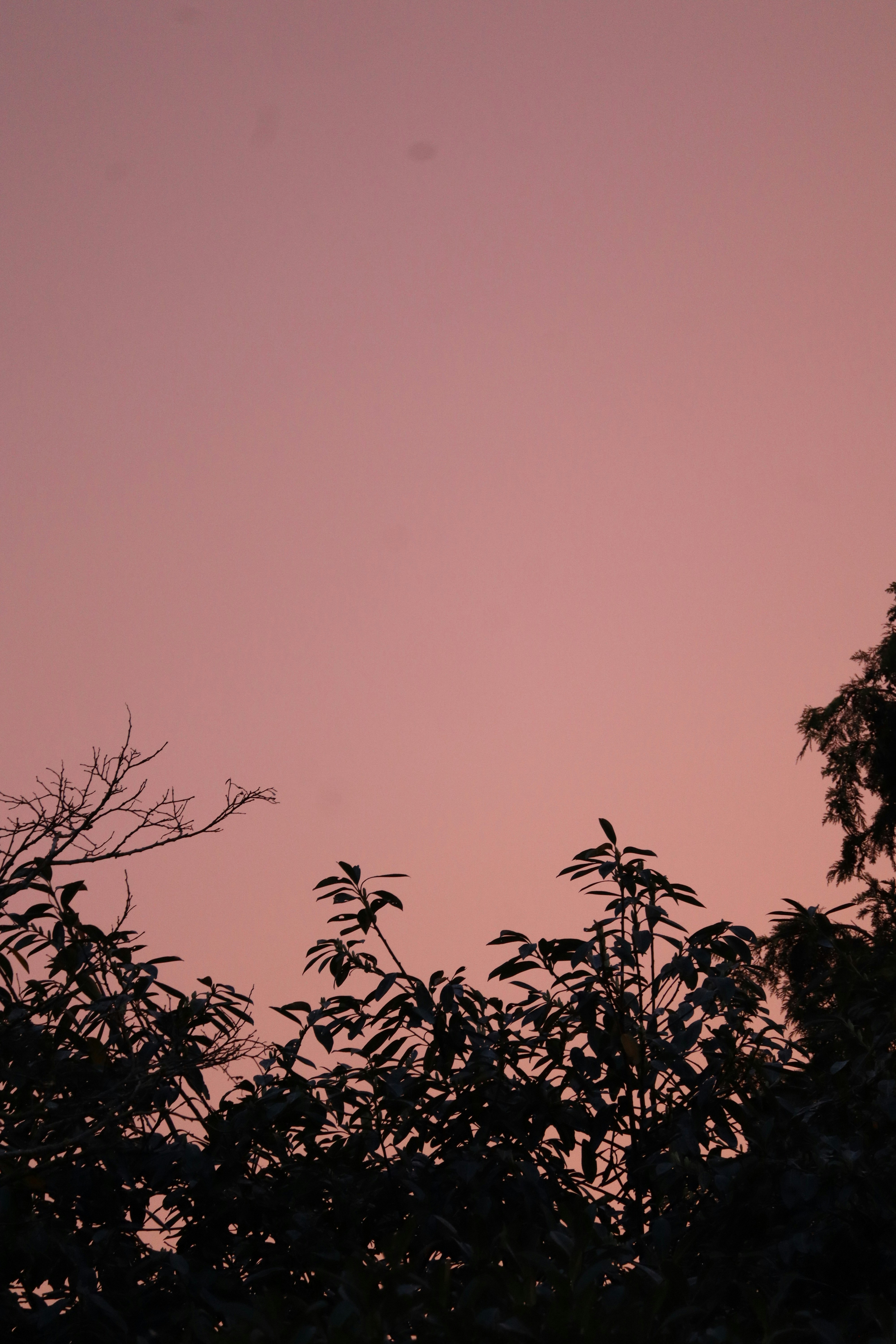 Photo by johnnygthorpe11