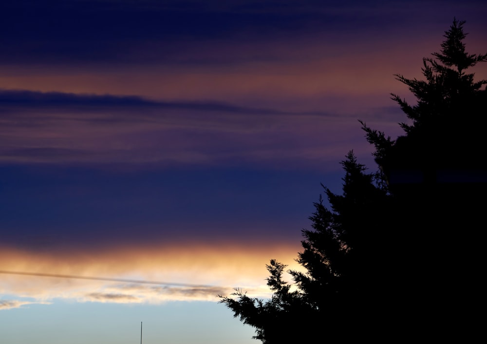 a view of the sky and trees from a distance