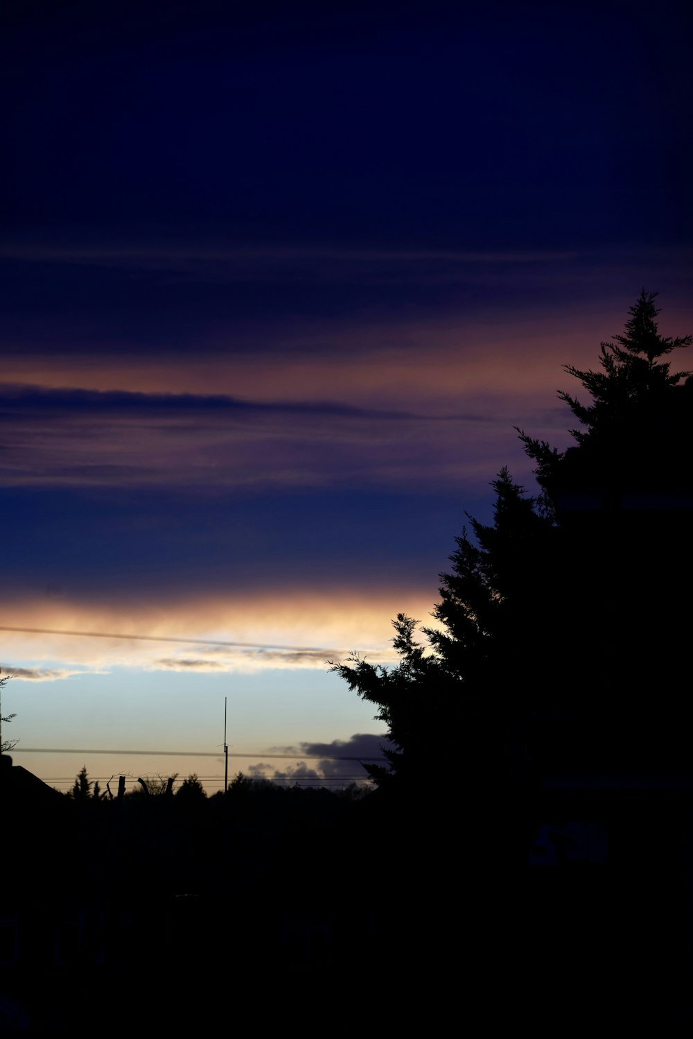 the sky is very dark and the trees are silhouetted