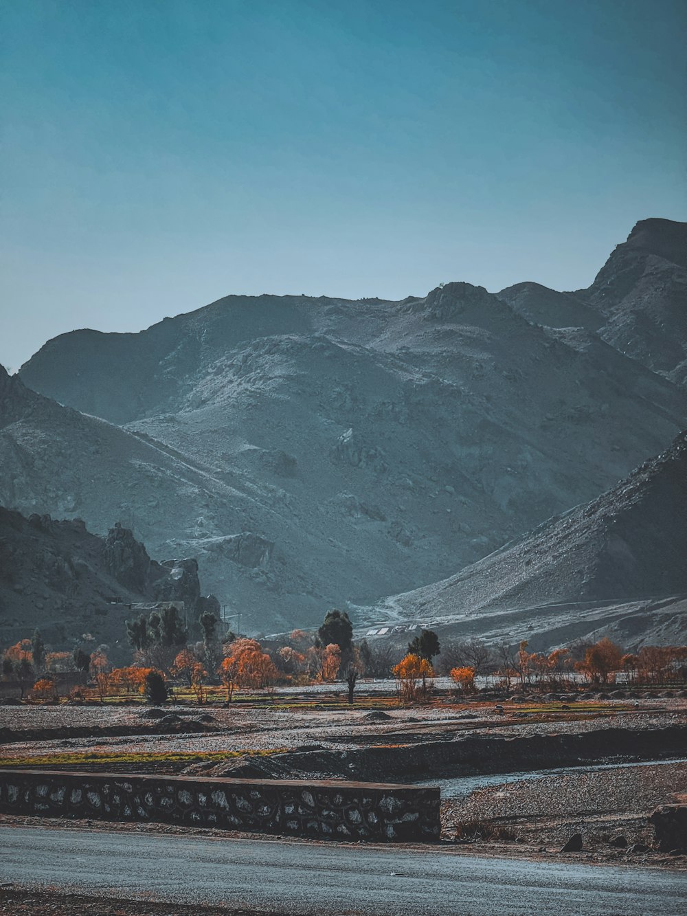 a scenic view of a mountain range with trees in the foreground