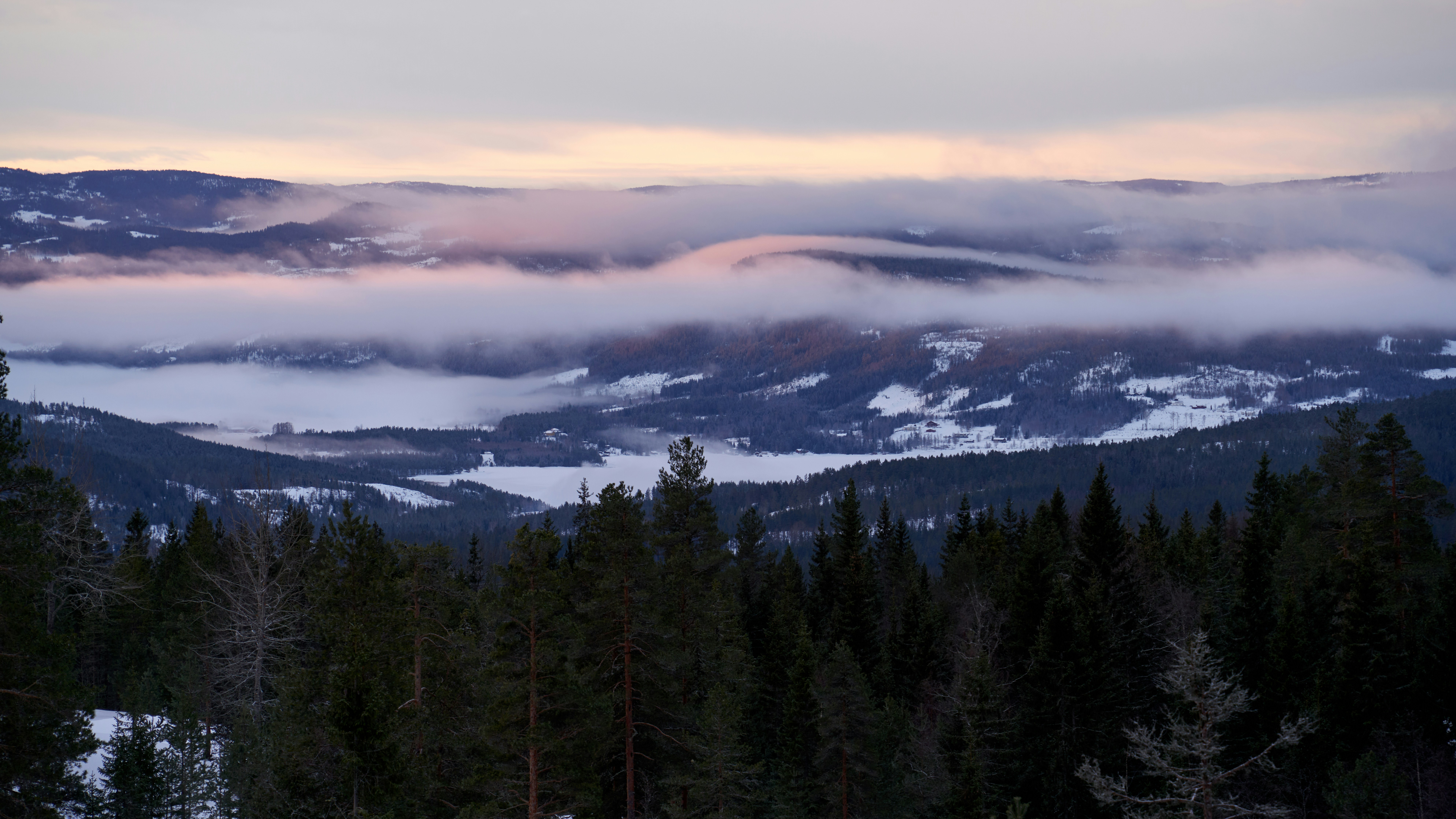 Photo by davotibarna