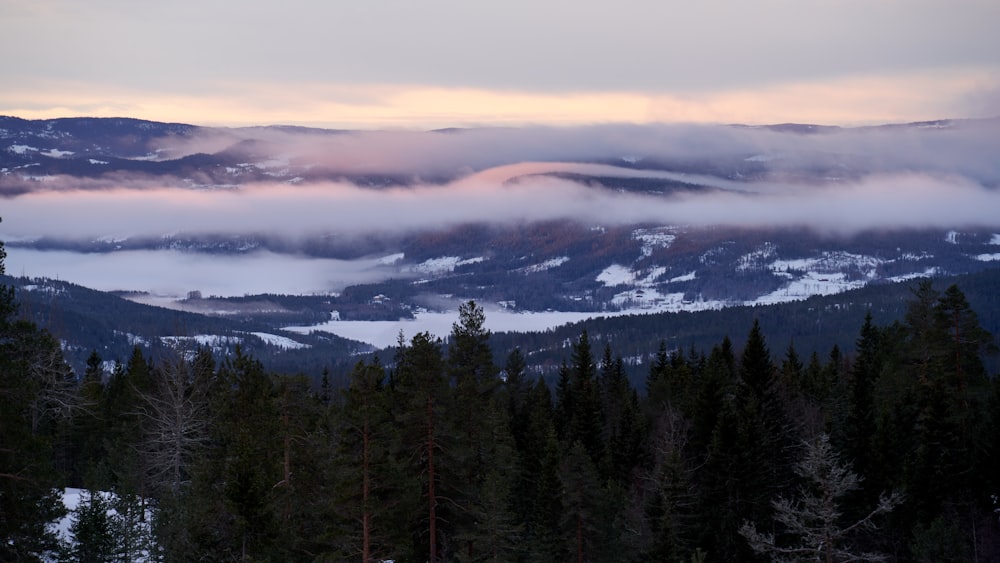 a view of a mountain covered in clouds and trees