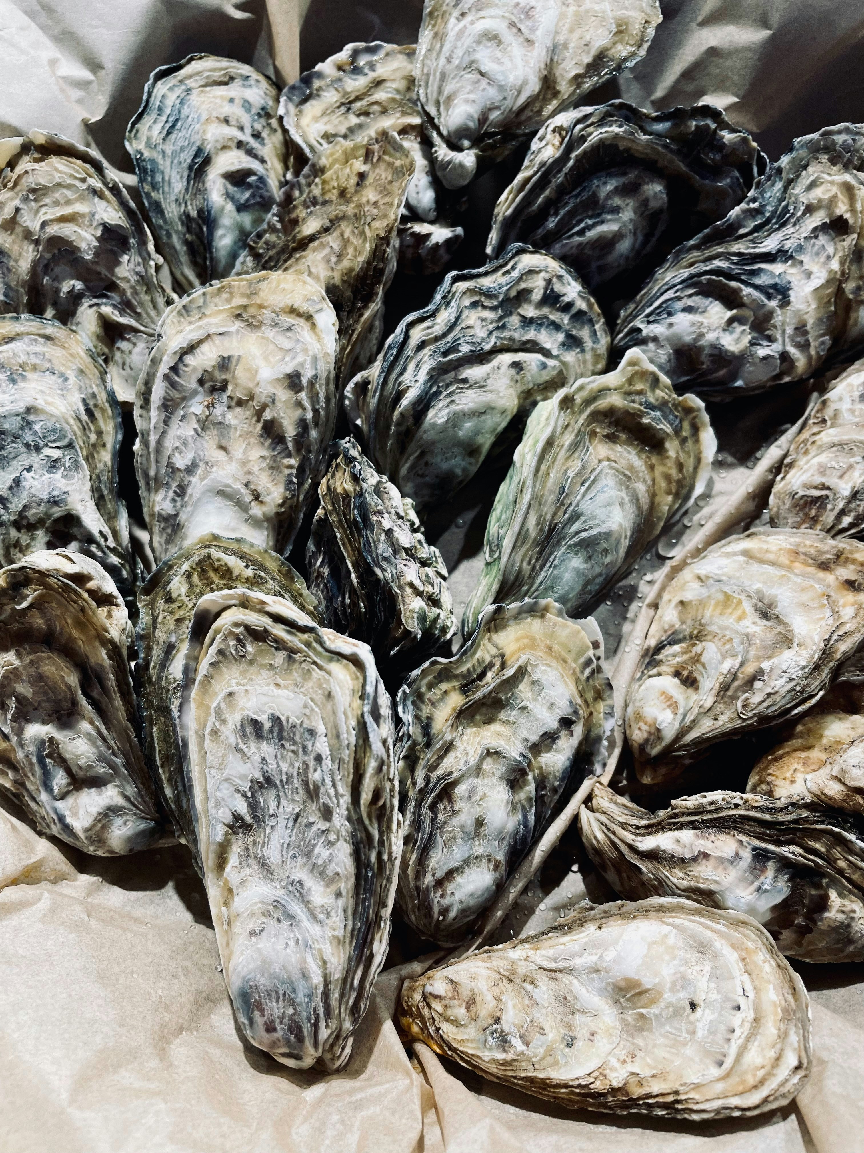 Photo by tashakostyuk