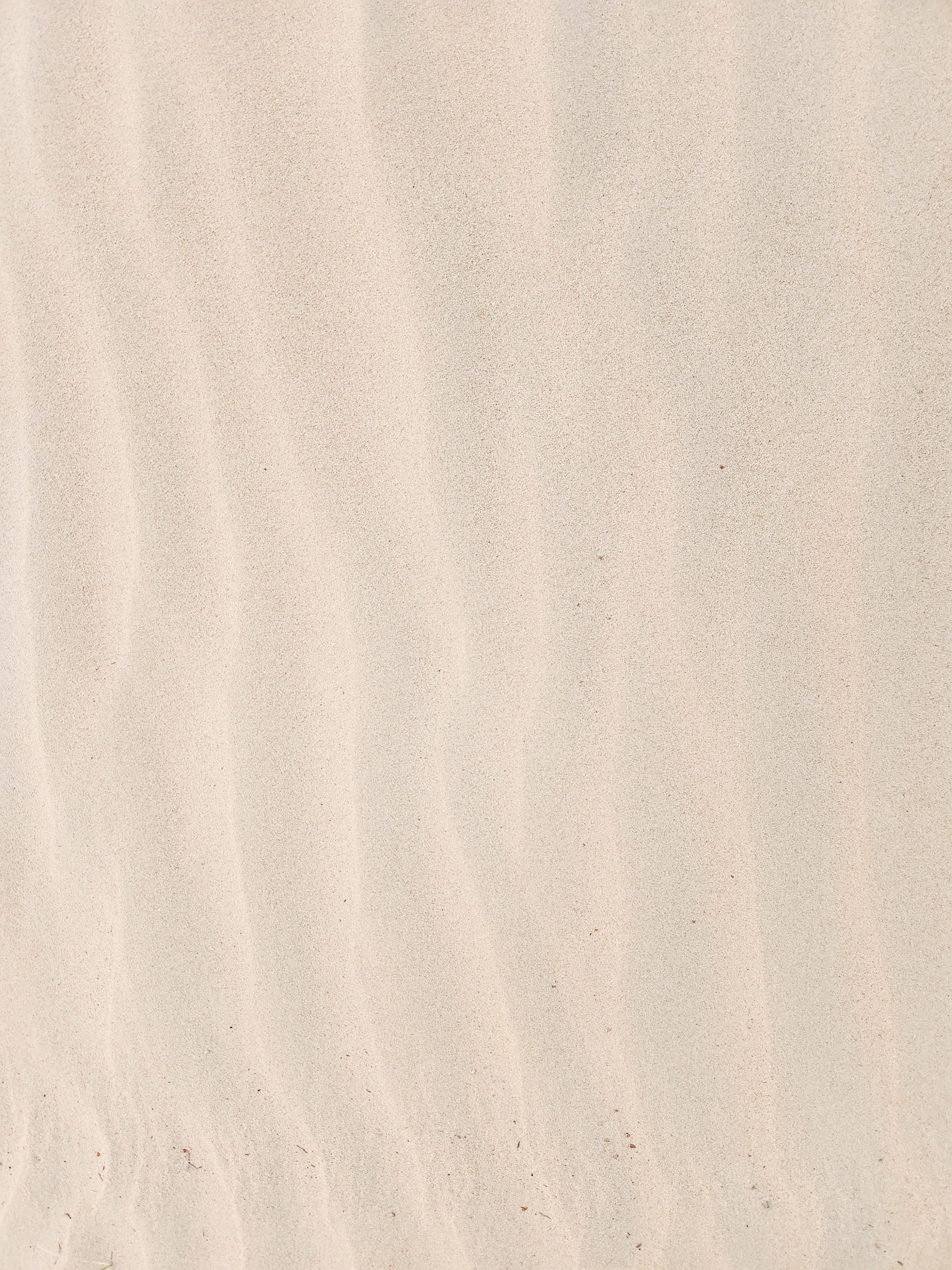 a bird standing on top of a sandy beach