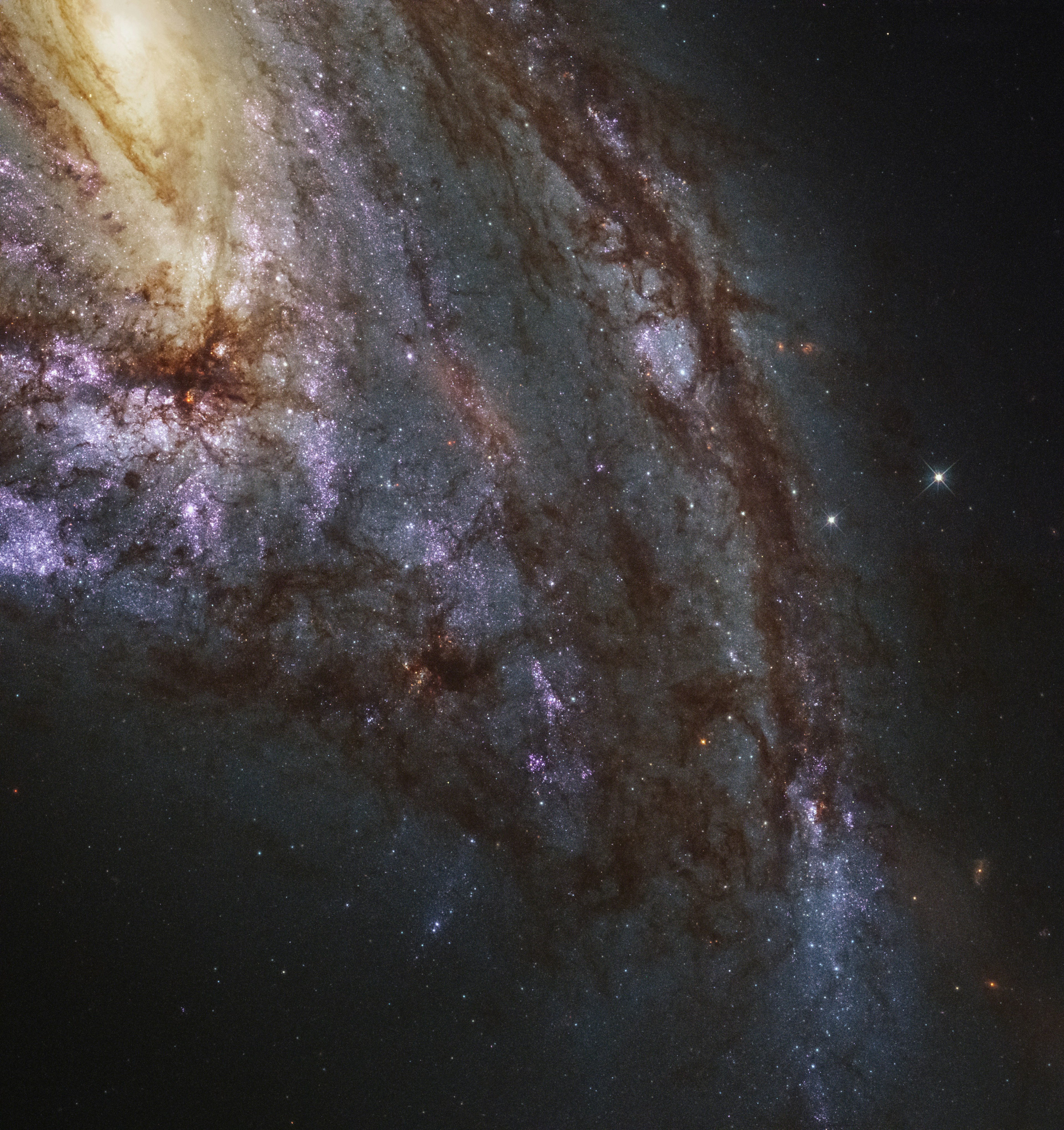 Photo by hubblespacetelescope