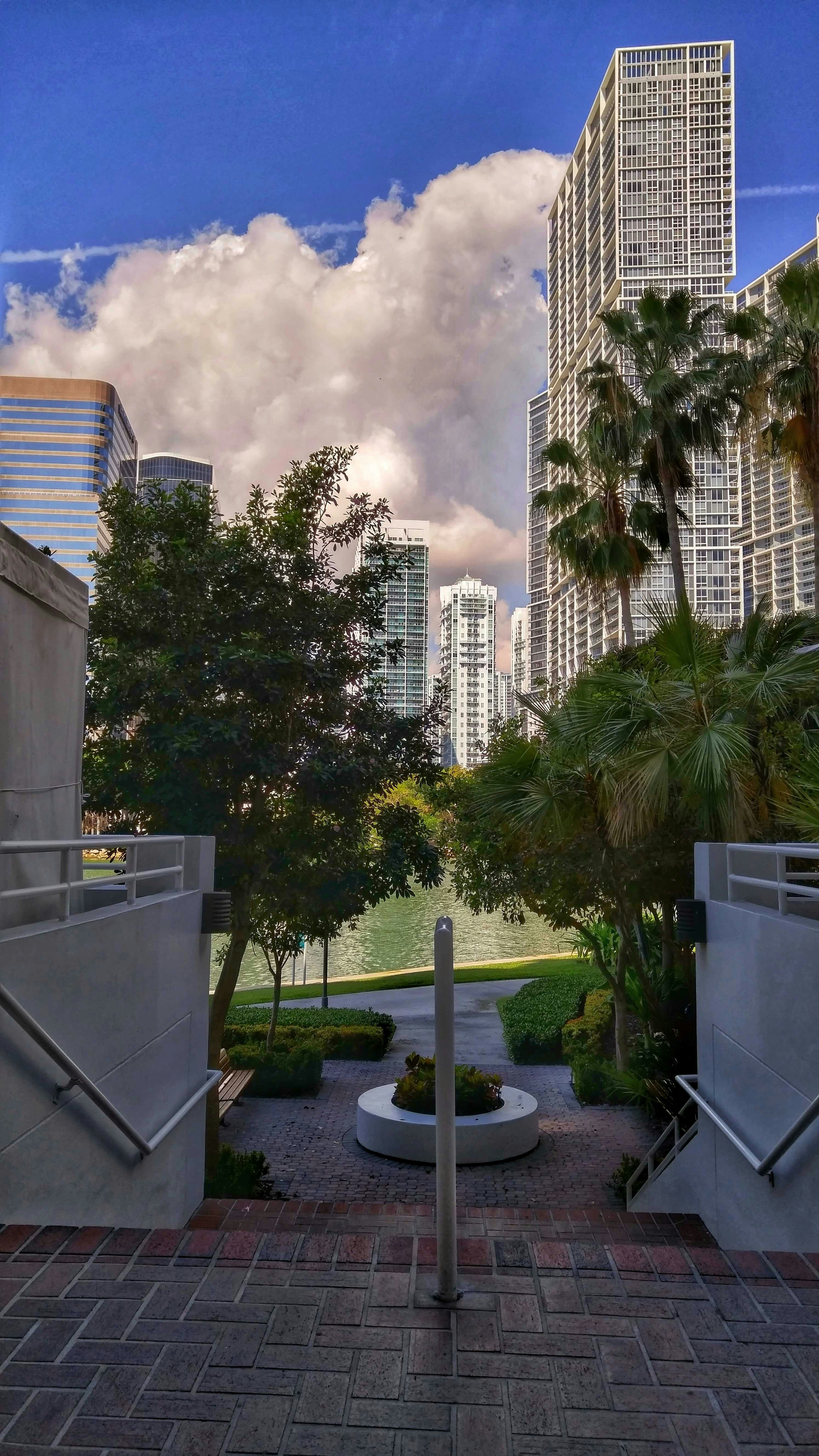 Park with a fountain and palm trees in Florida