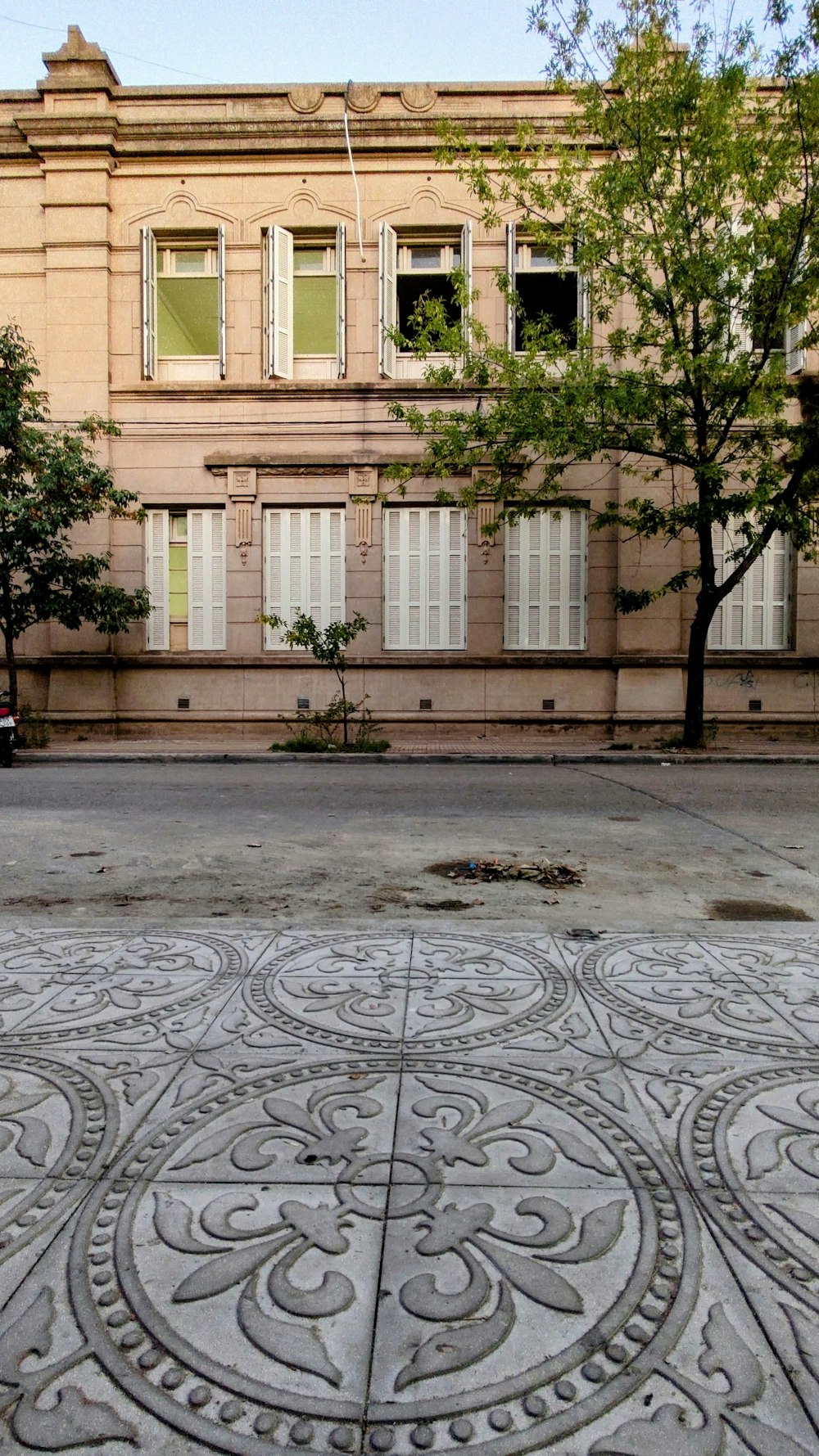 un gran edificio con un árbol frente a él