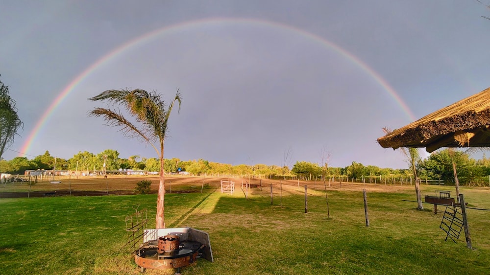 a rainbow appears over a grassy area with a picnic table