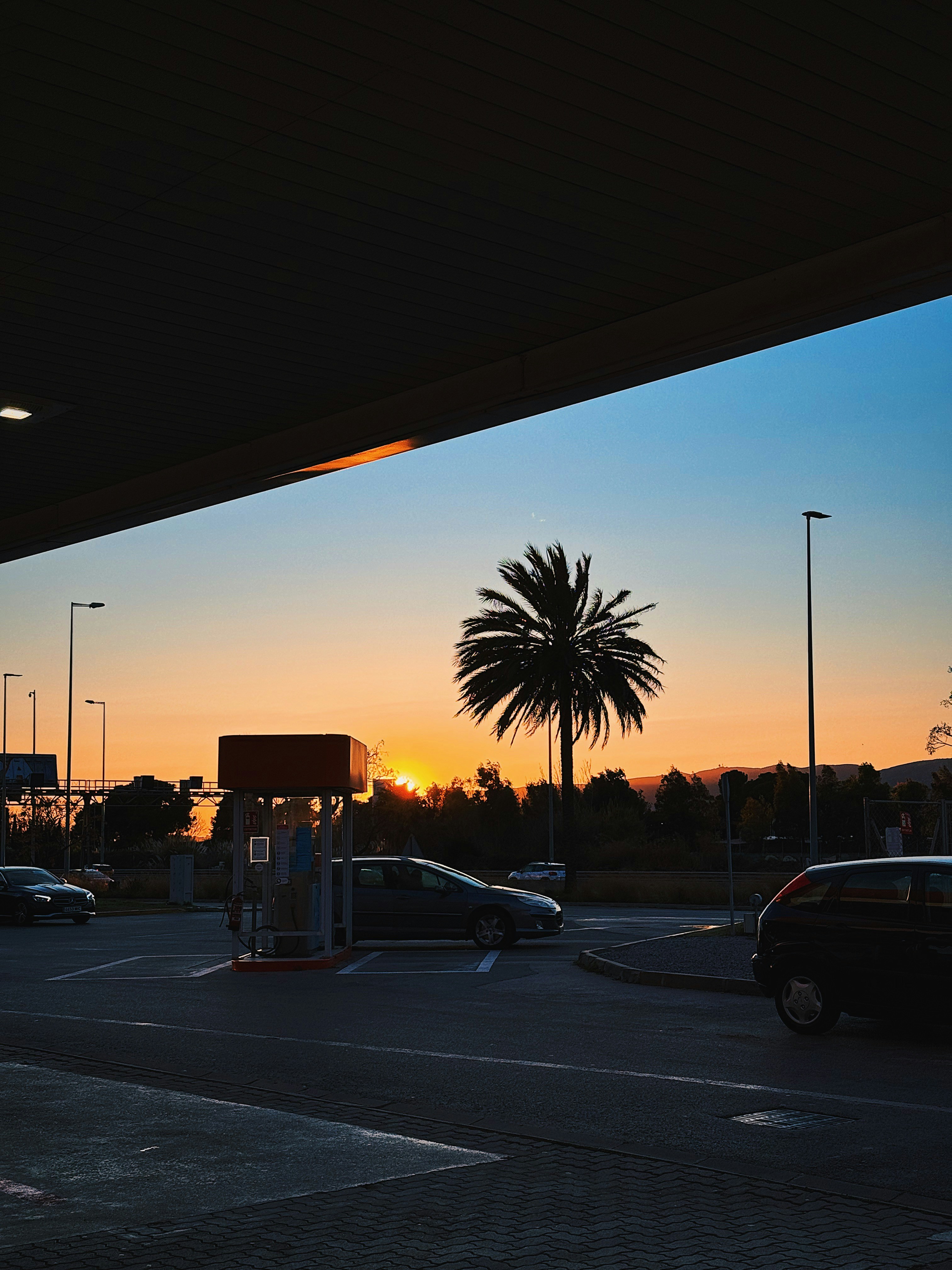 Photo by colandrugs