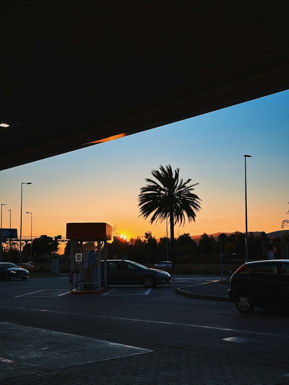 a gas station with a palm tree in the background