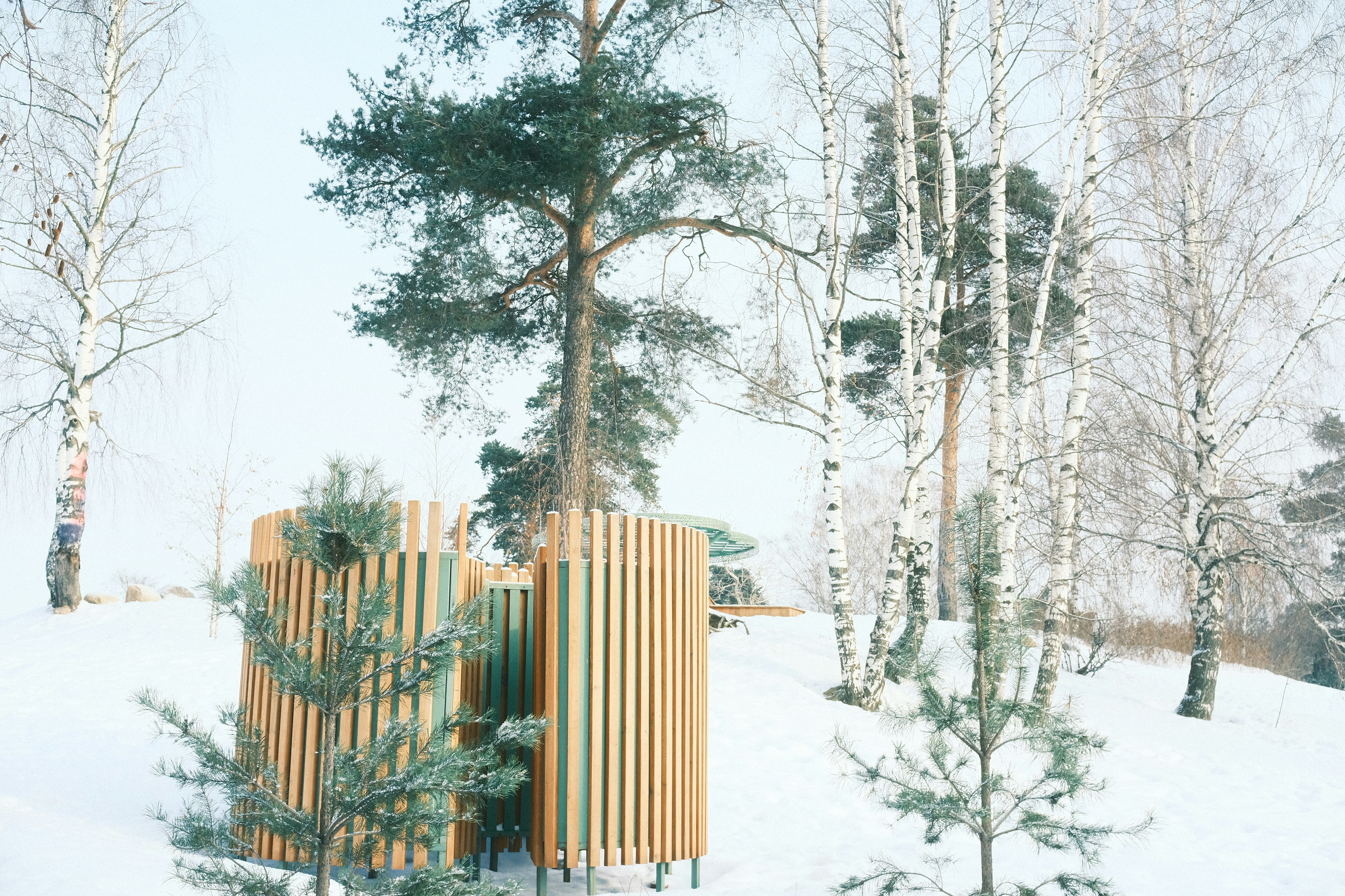 una estructura de madera rodeada de árboles en la nieve