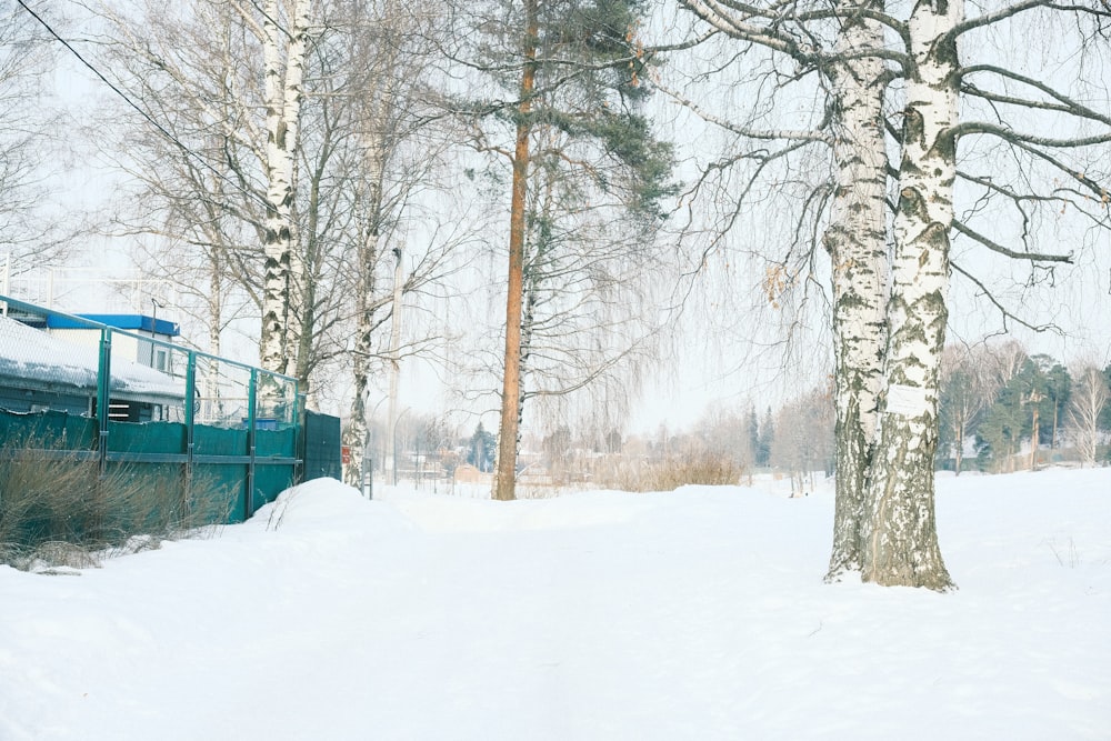 a truck parked next to a tree in the snow