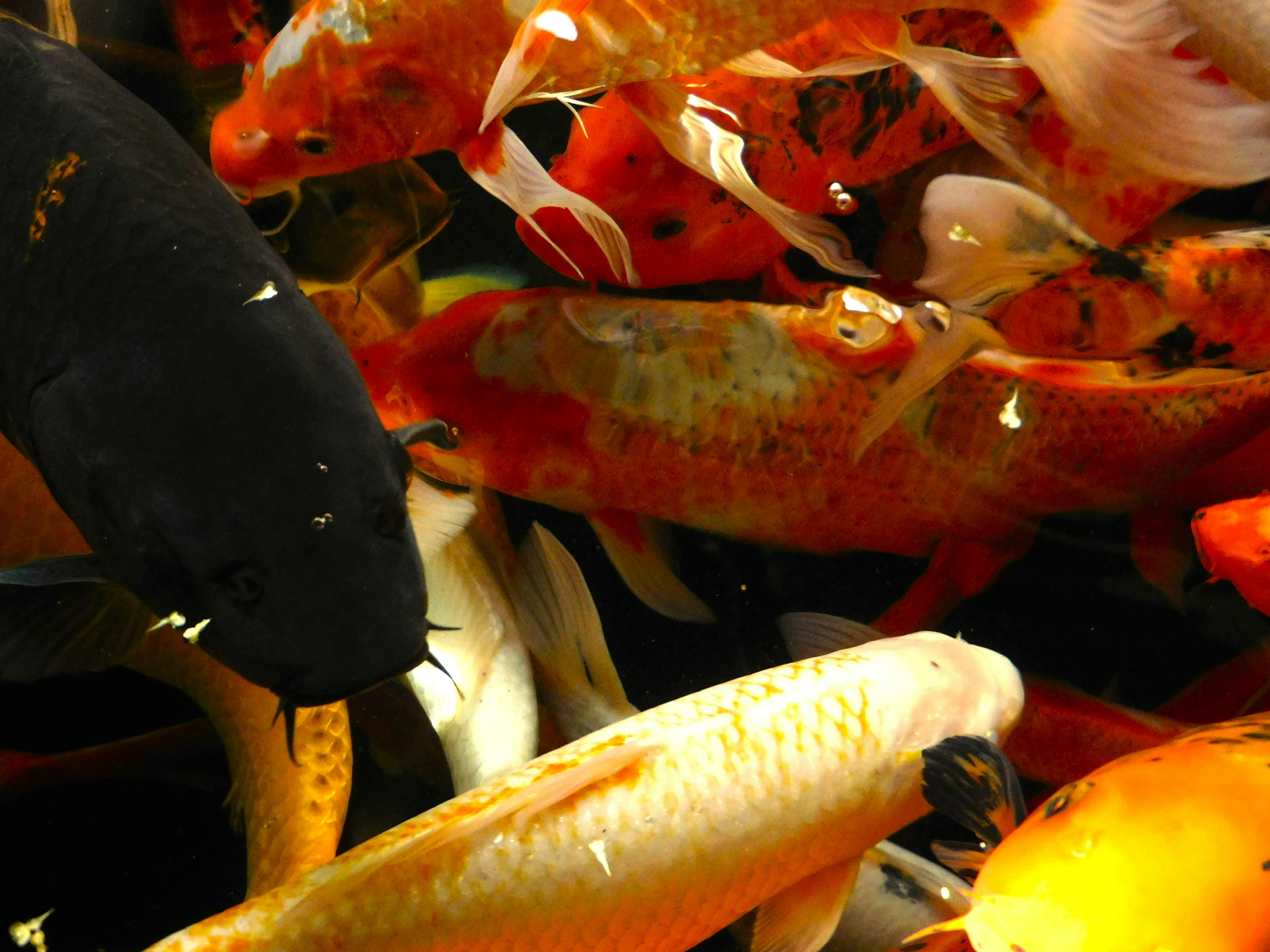 Photo by nicolelaurenphotography