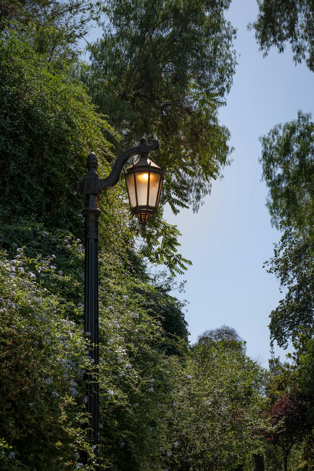 a lamp post in the middle of a park