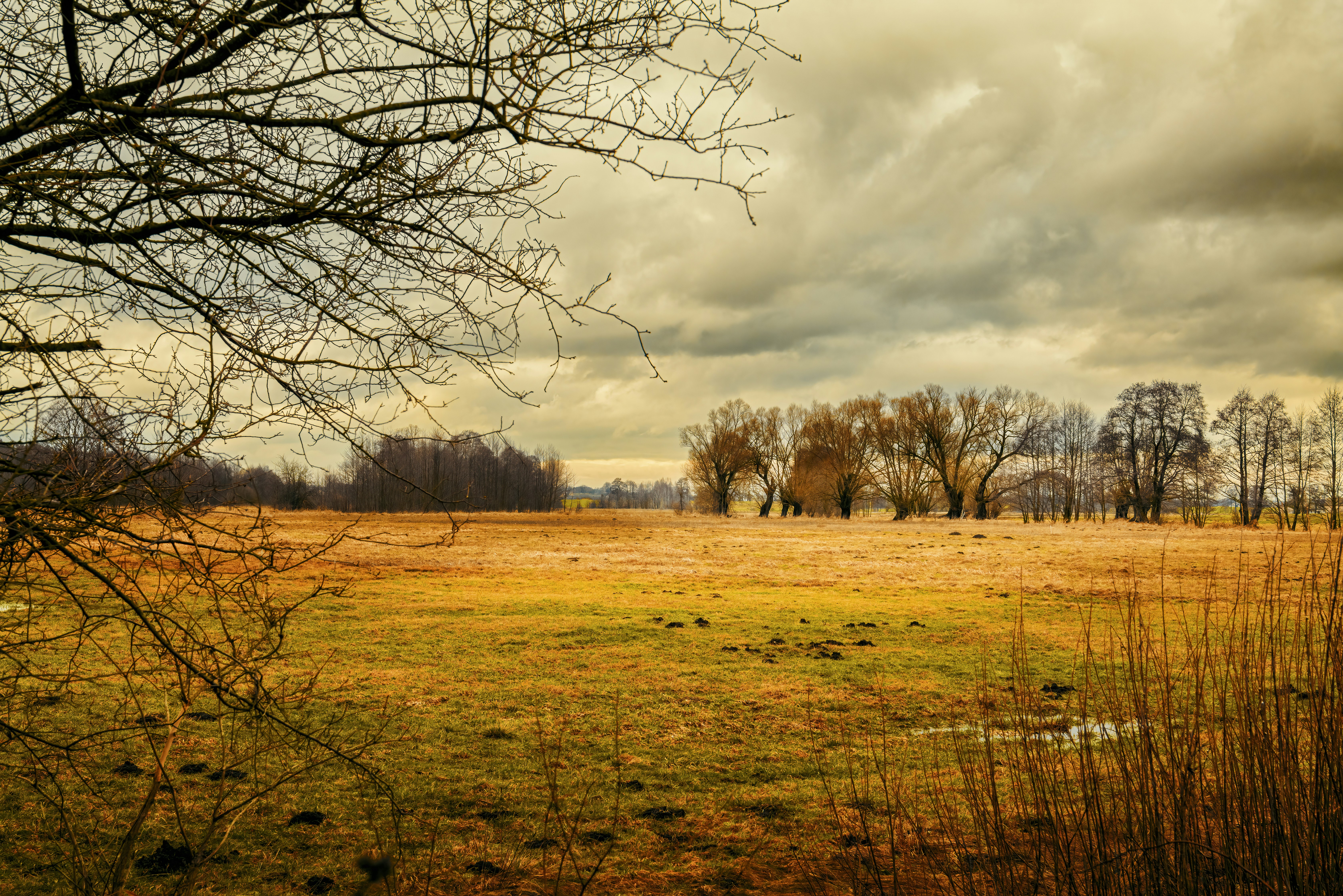 Photo by mcisowski