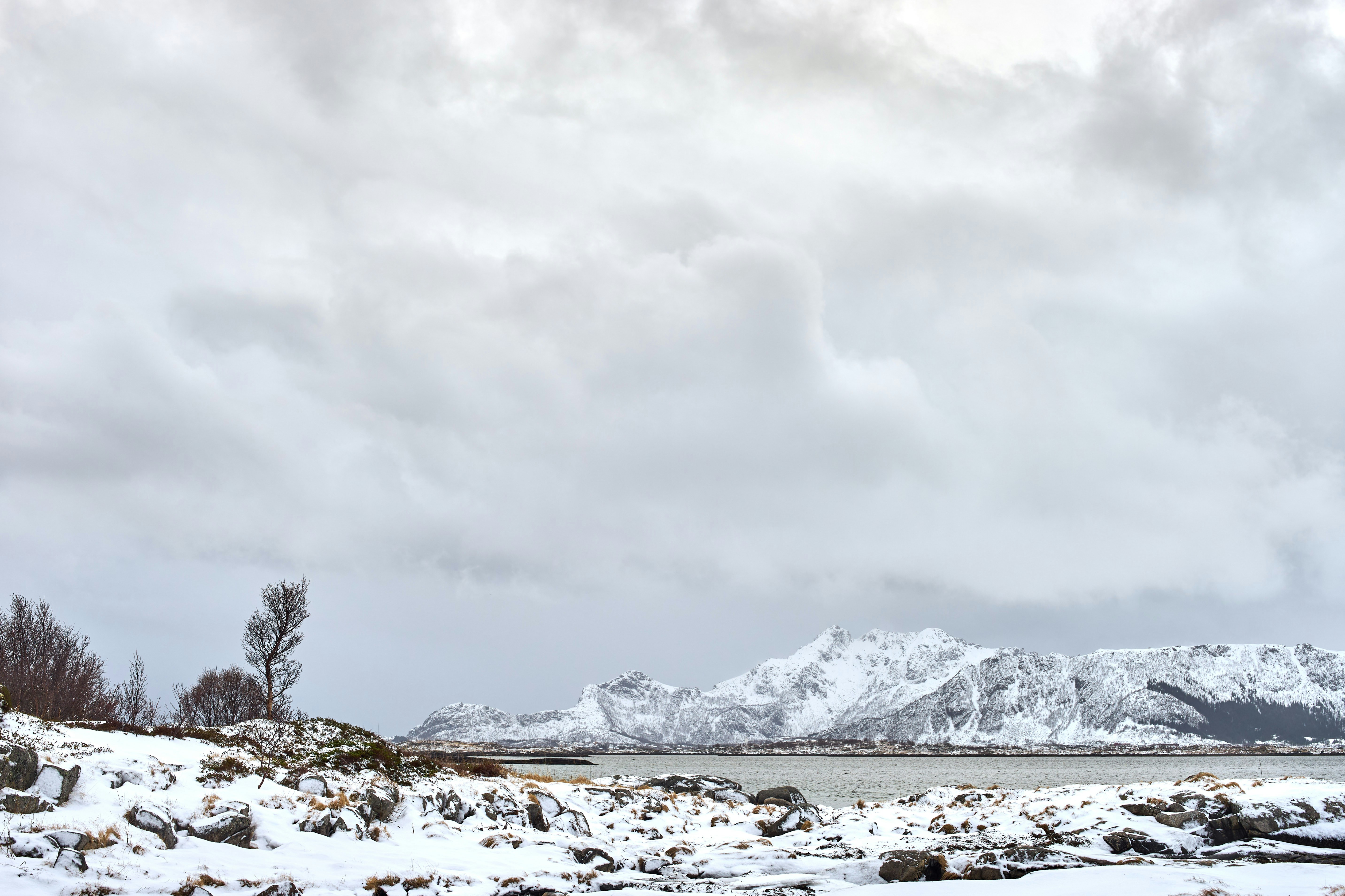 Photo by wolfgang_hasselmann