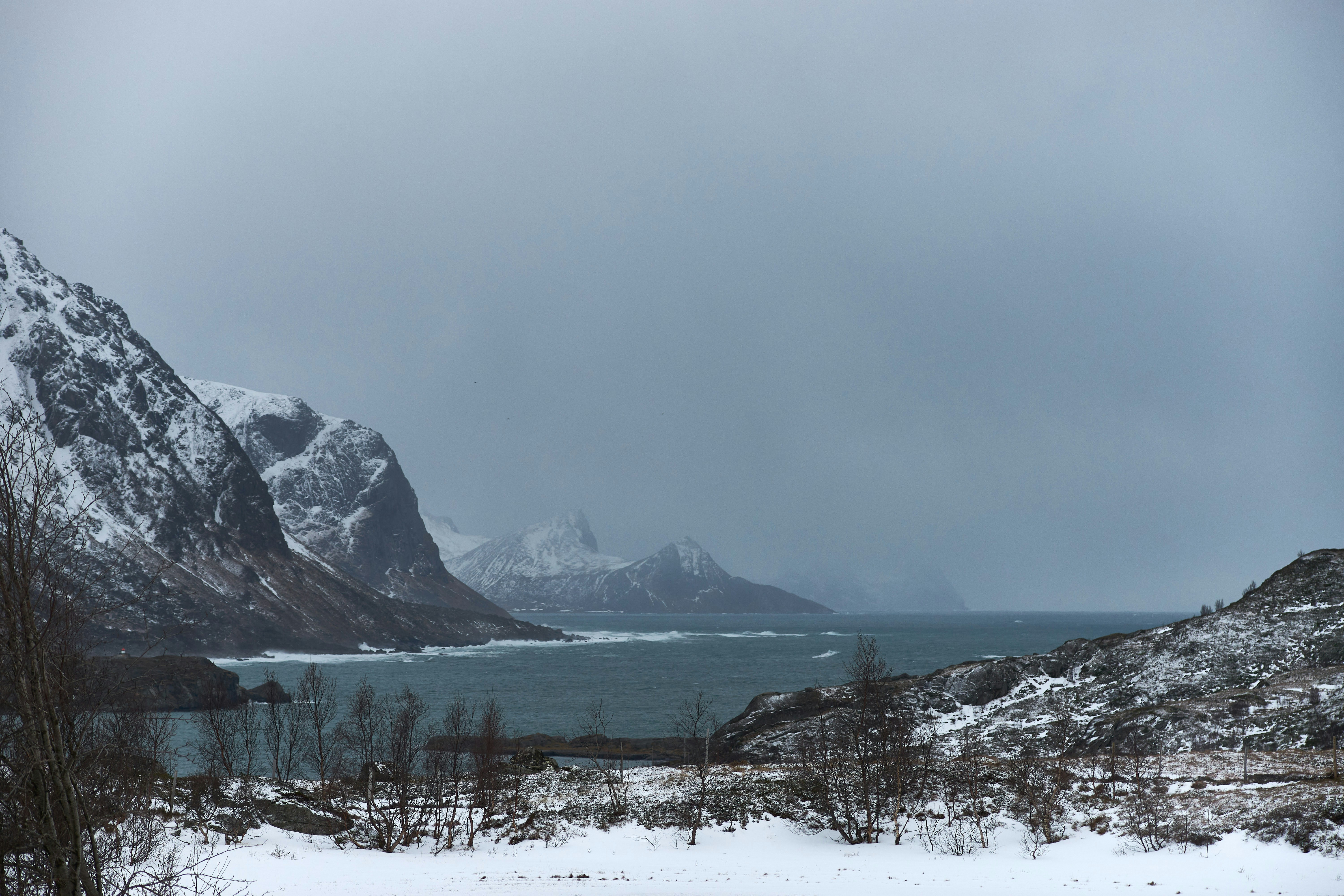 Photo by wolfgang_hasselmann