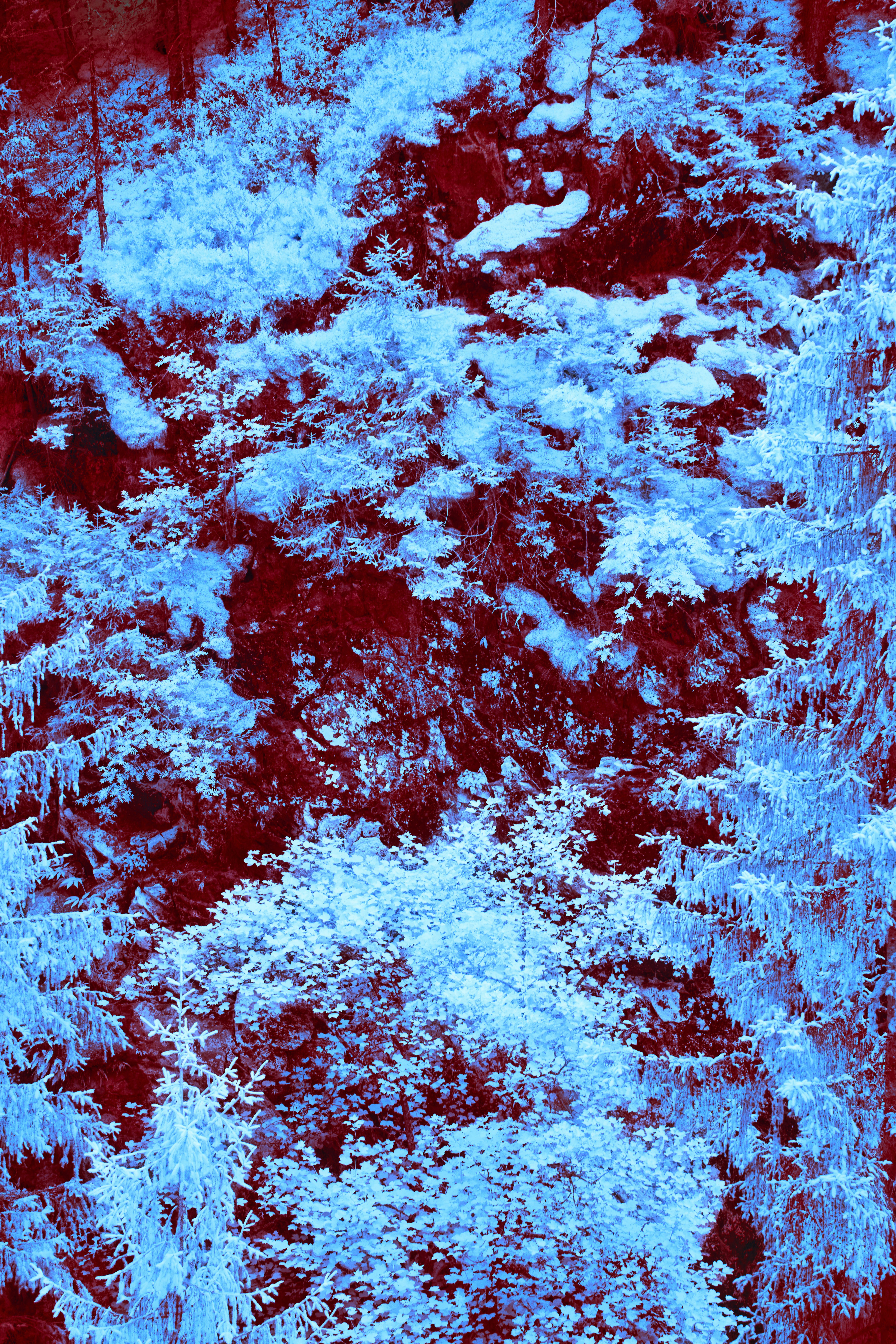 Photo by wolfgang_hasselmann