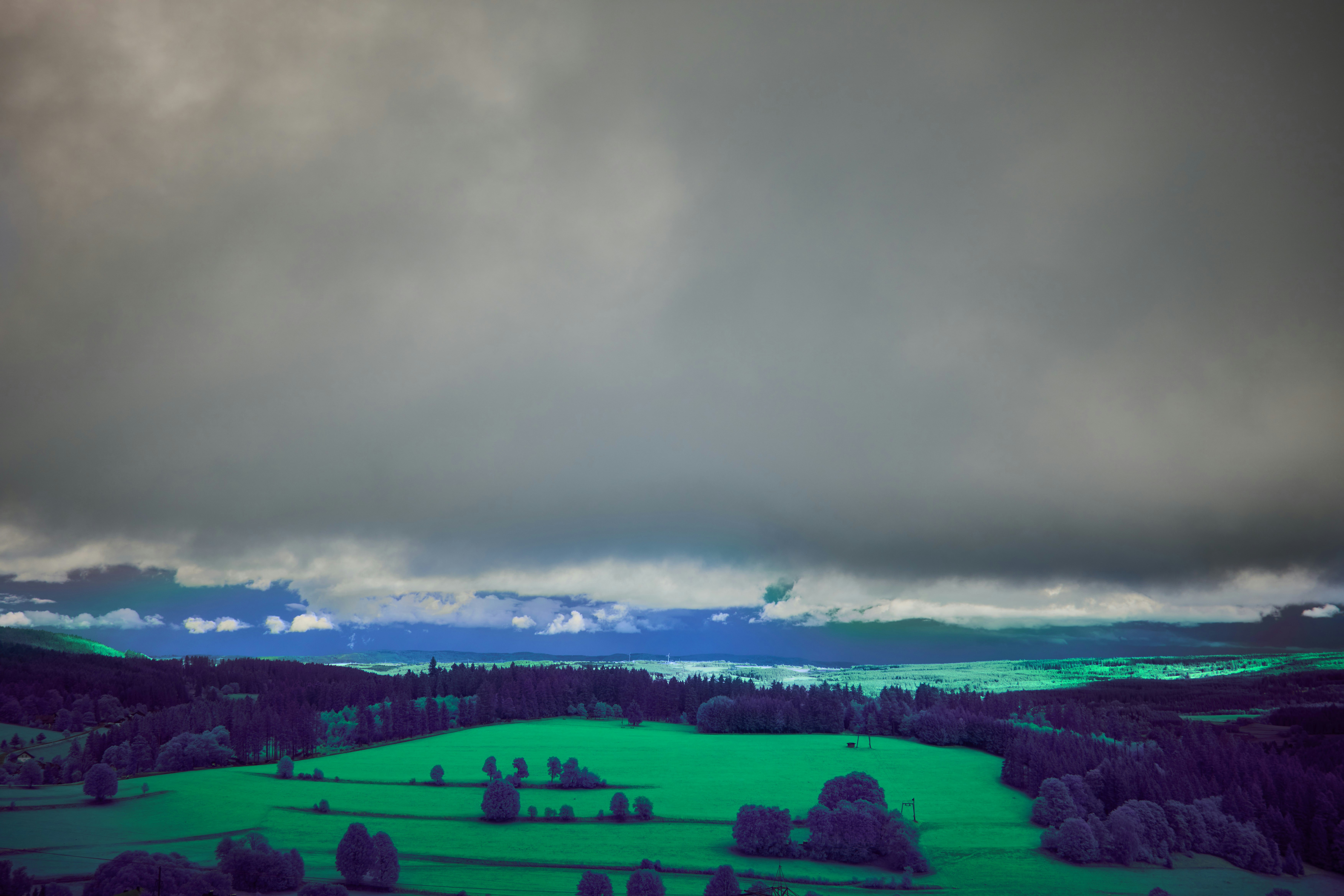 Photo by wolfgang_hasselmann